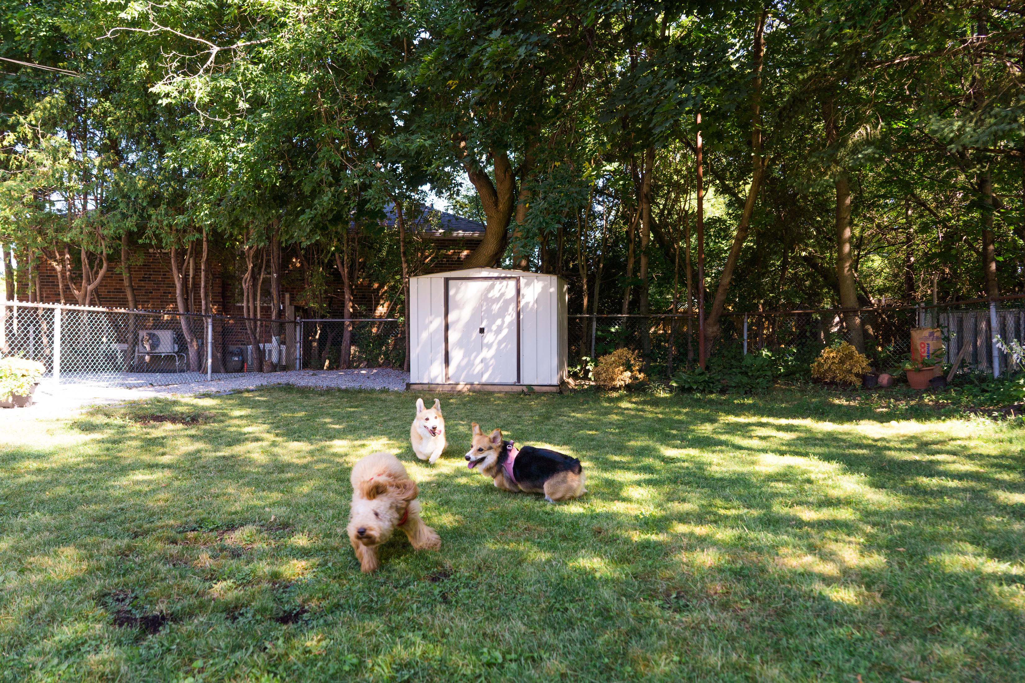 image-11
