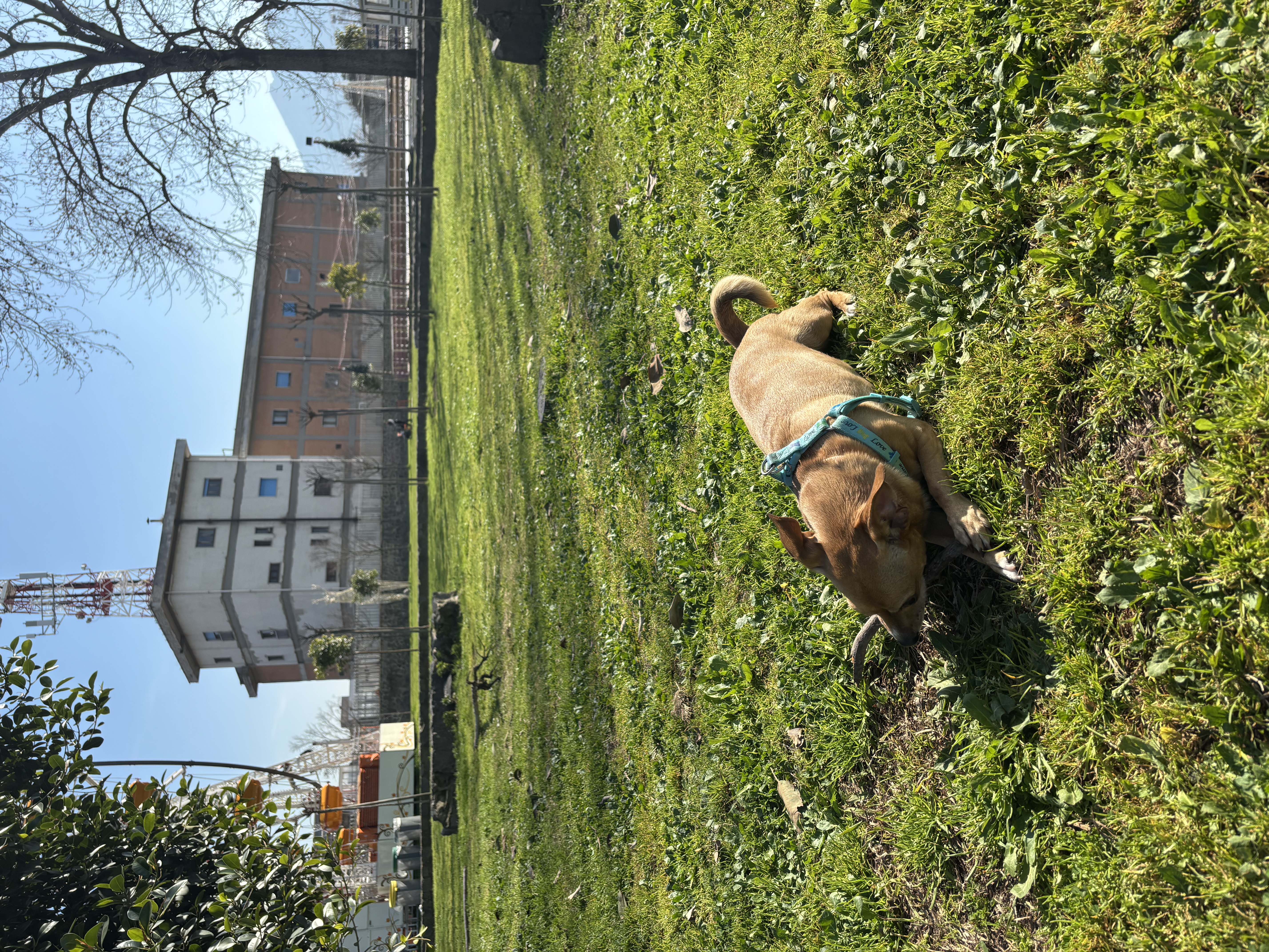 image-10