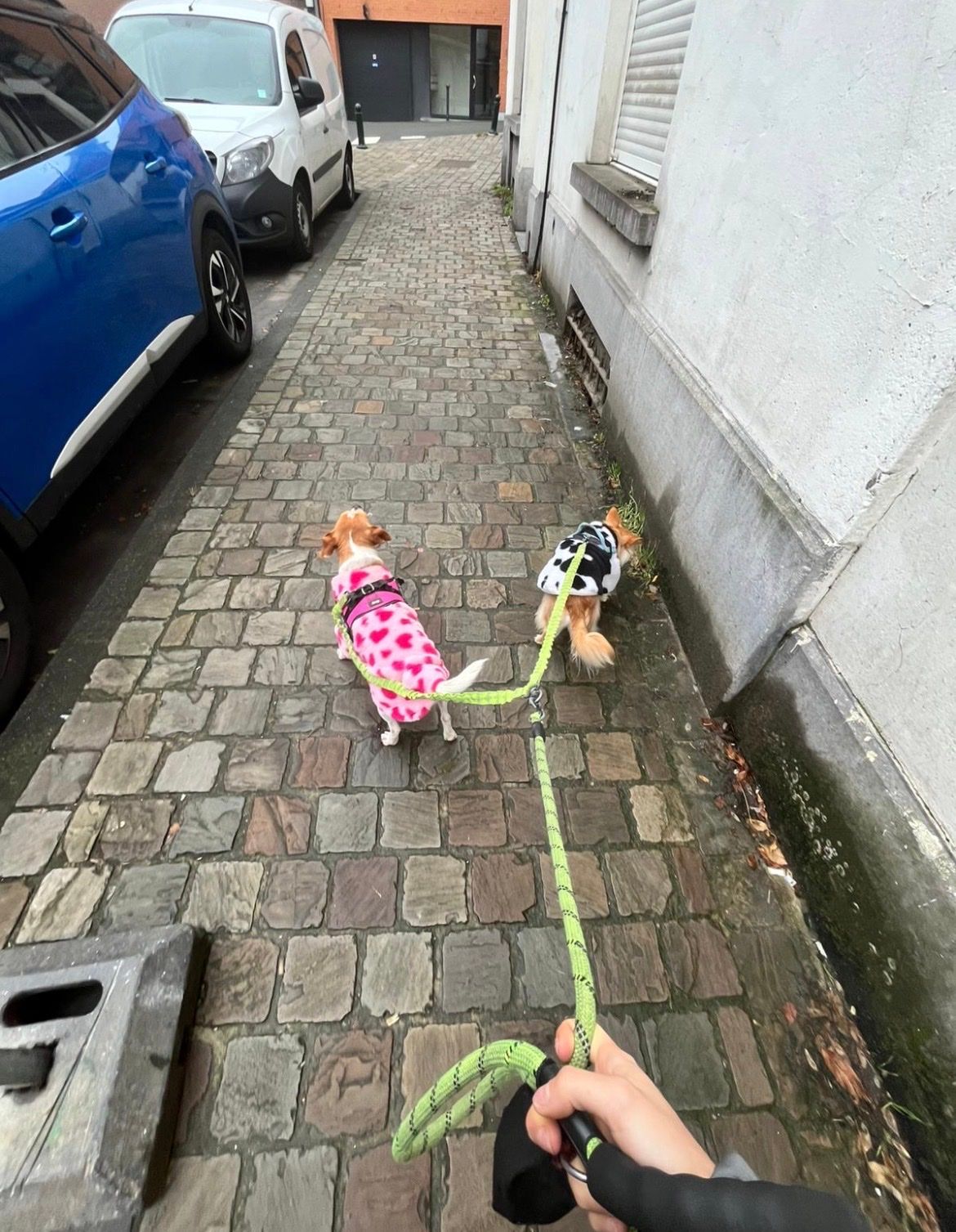 image-37