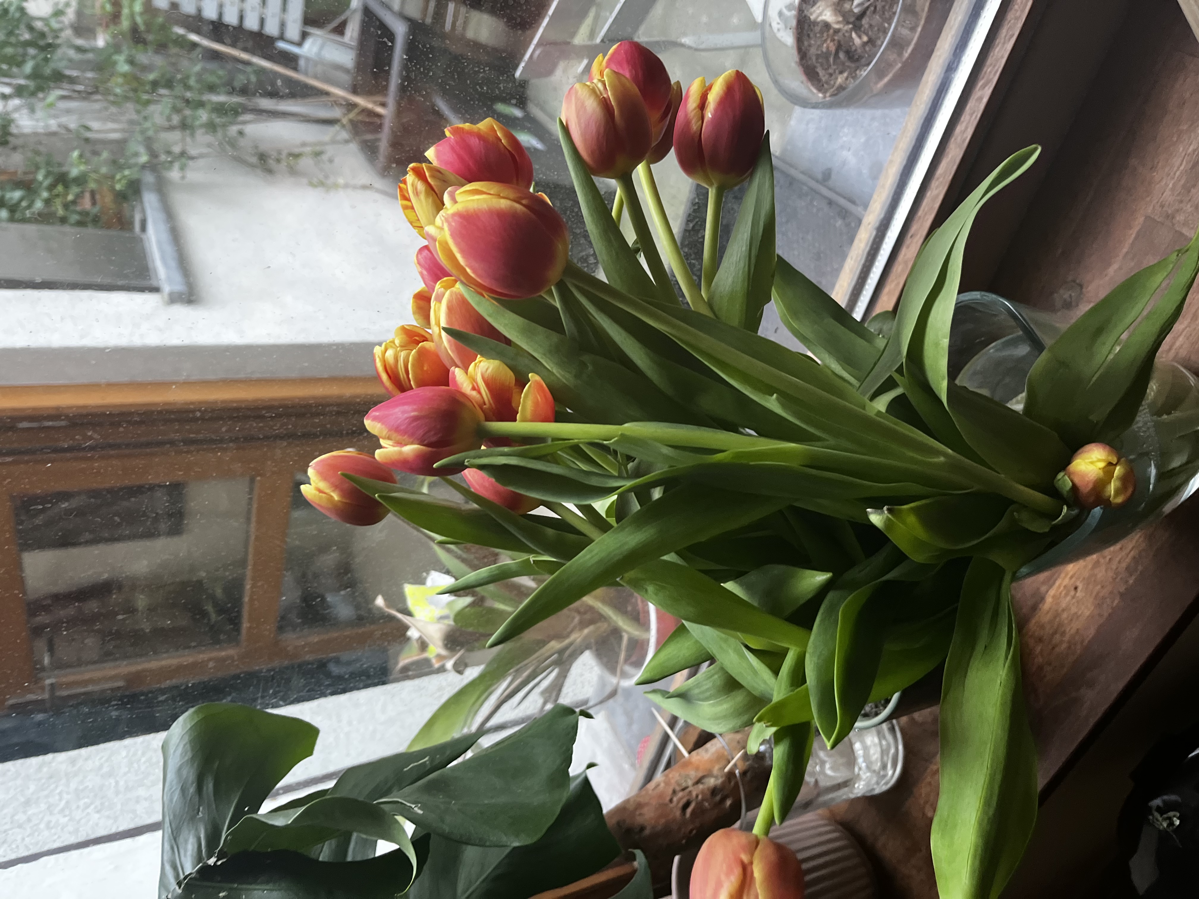 image-55