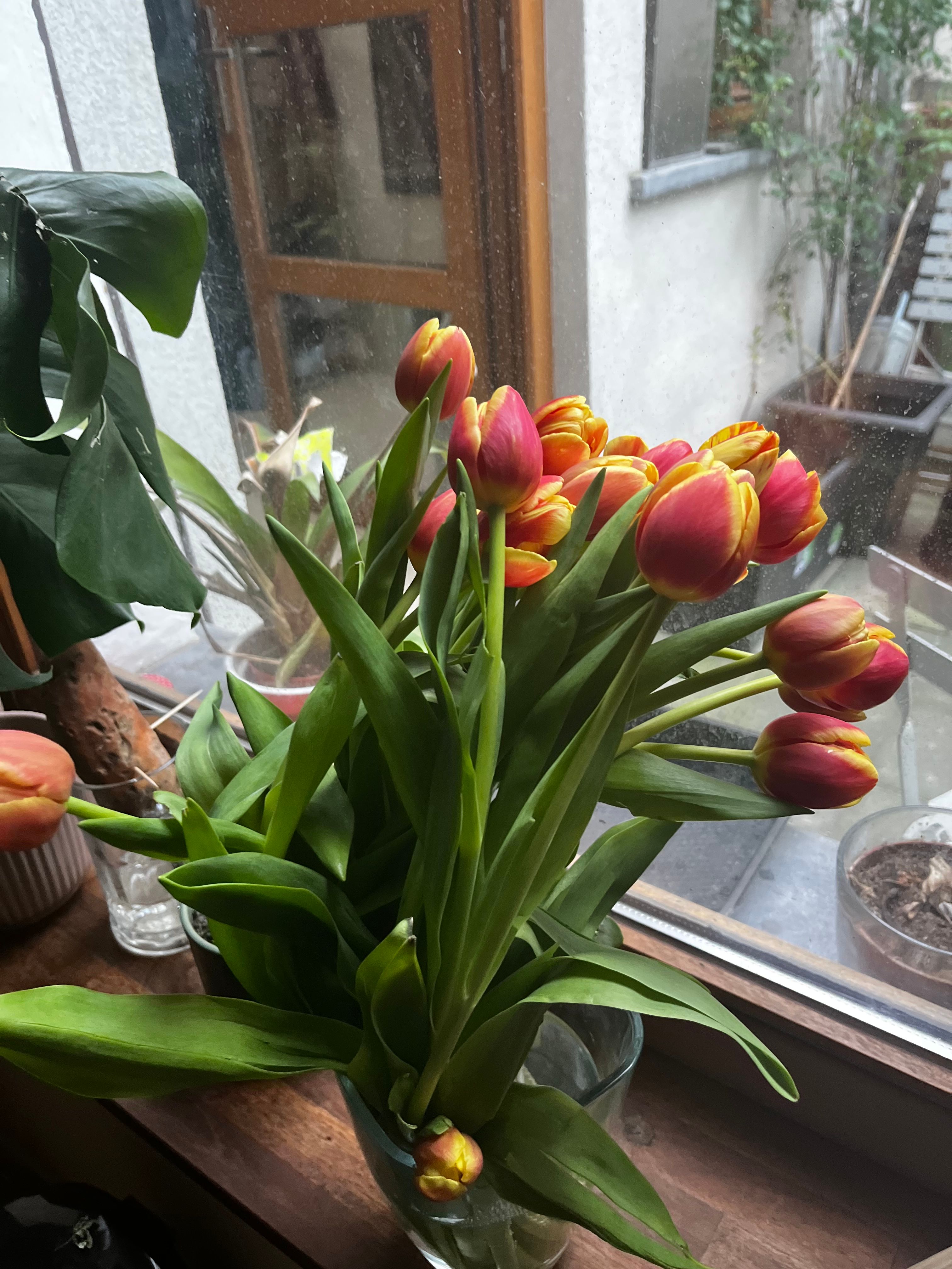 image-55