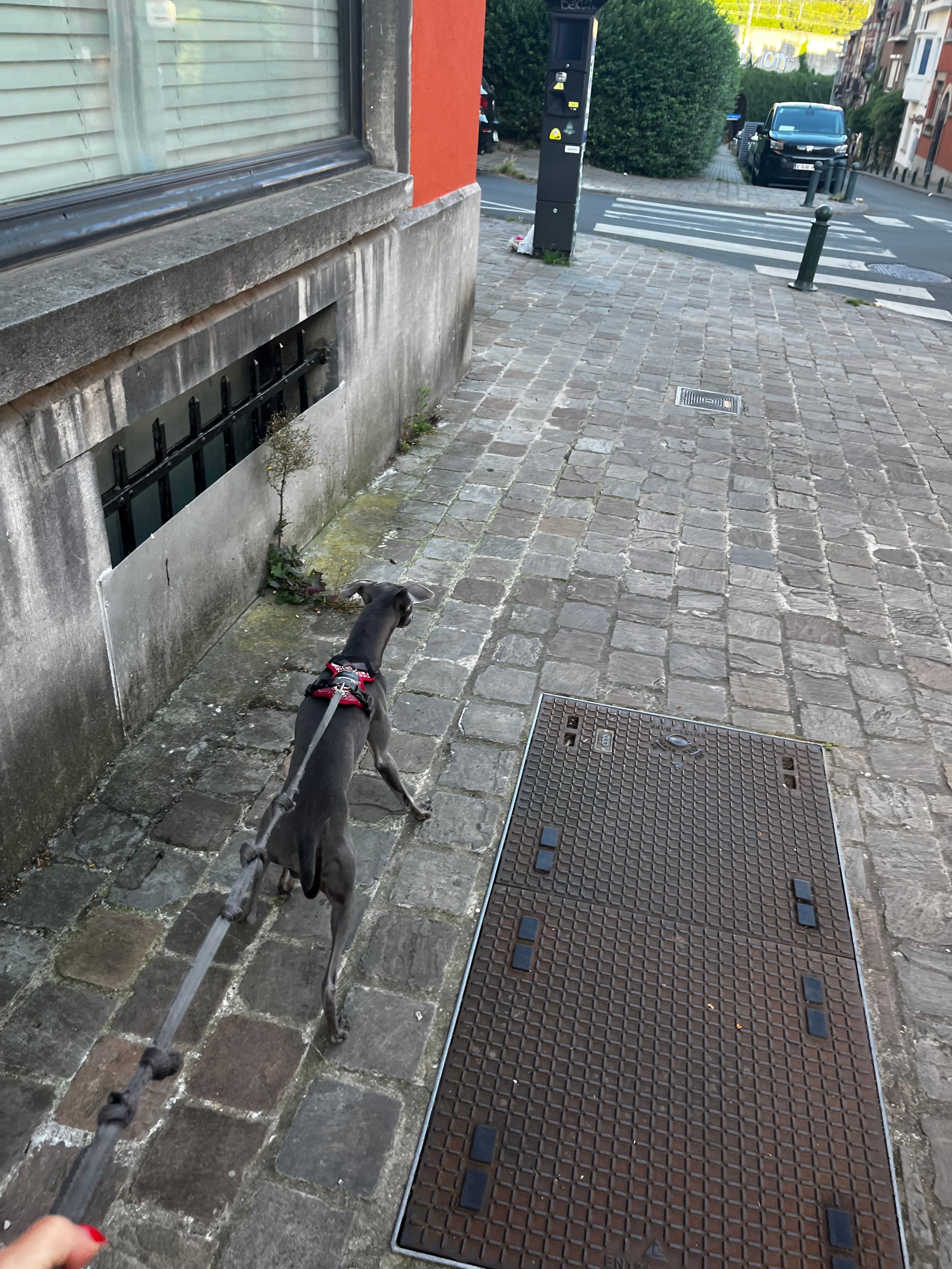 image-43