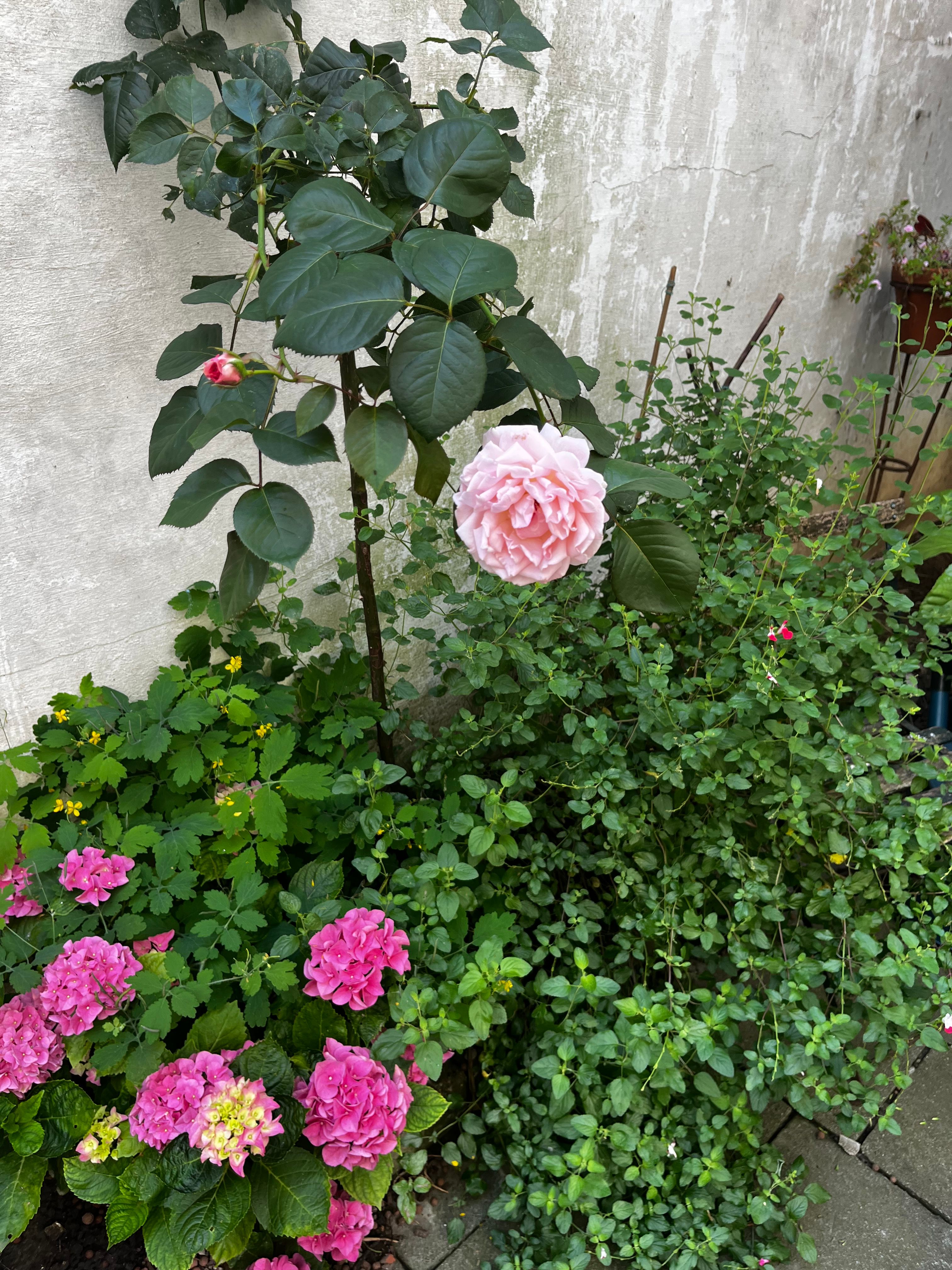image-48