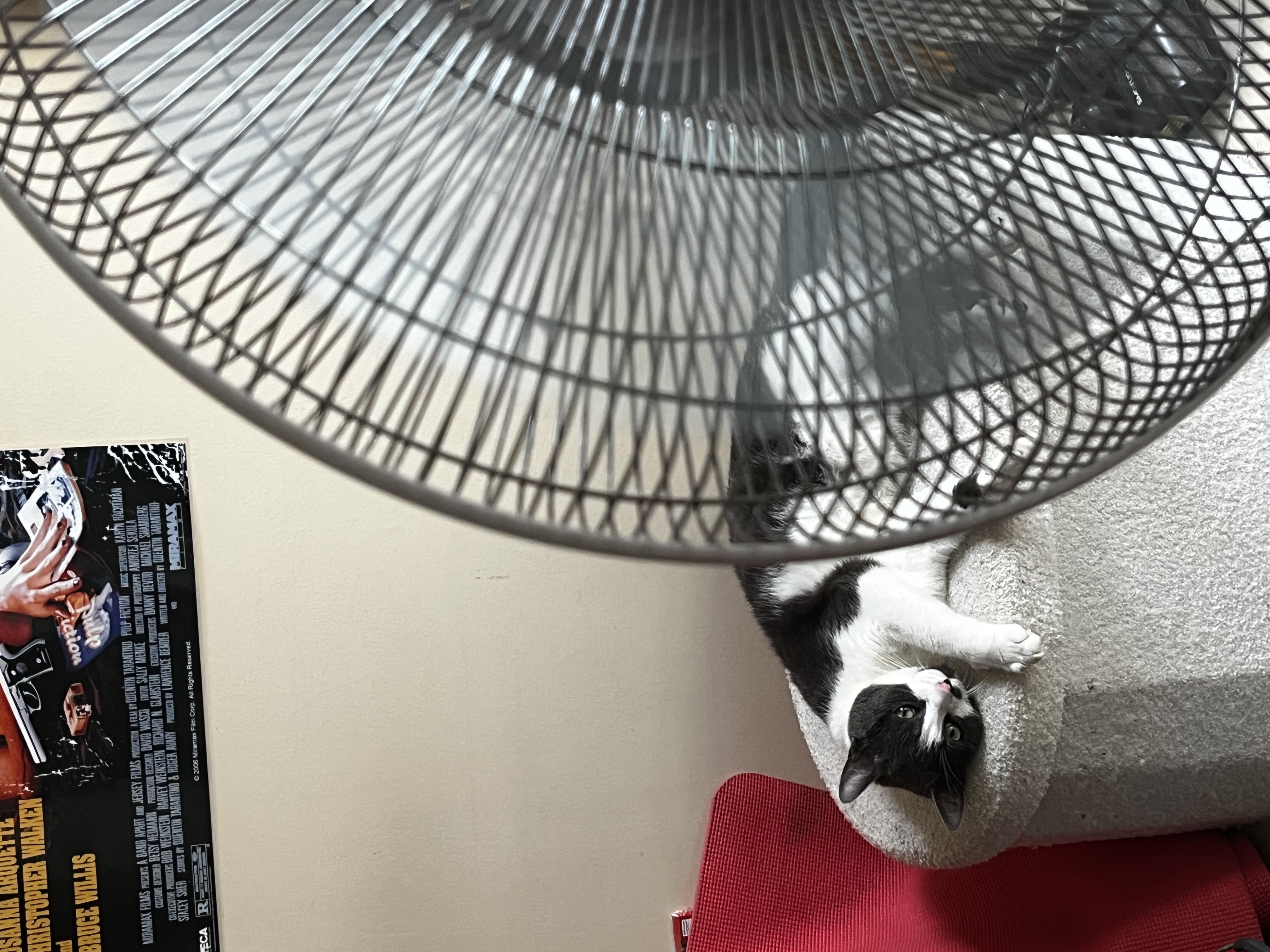 image-5