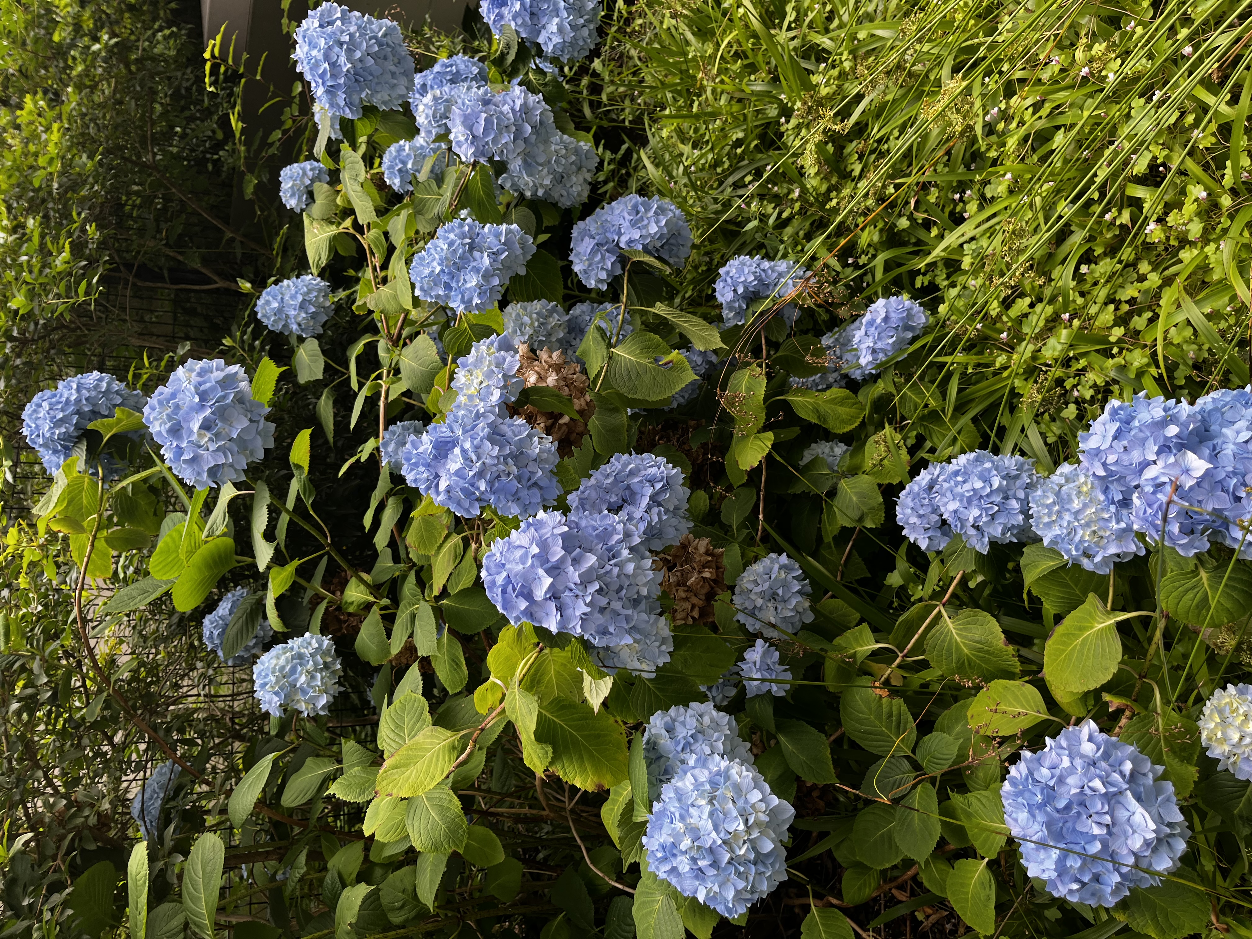 image-57