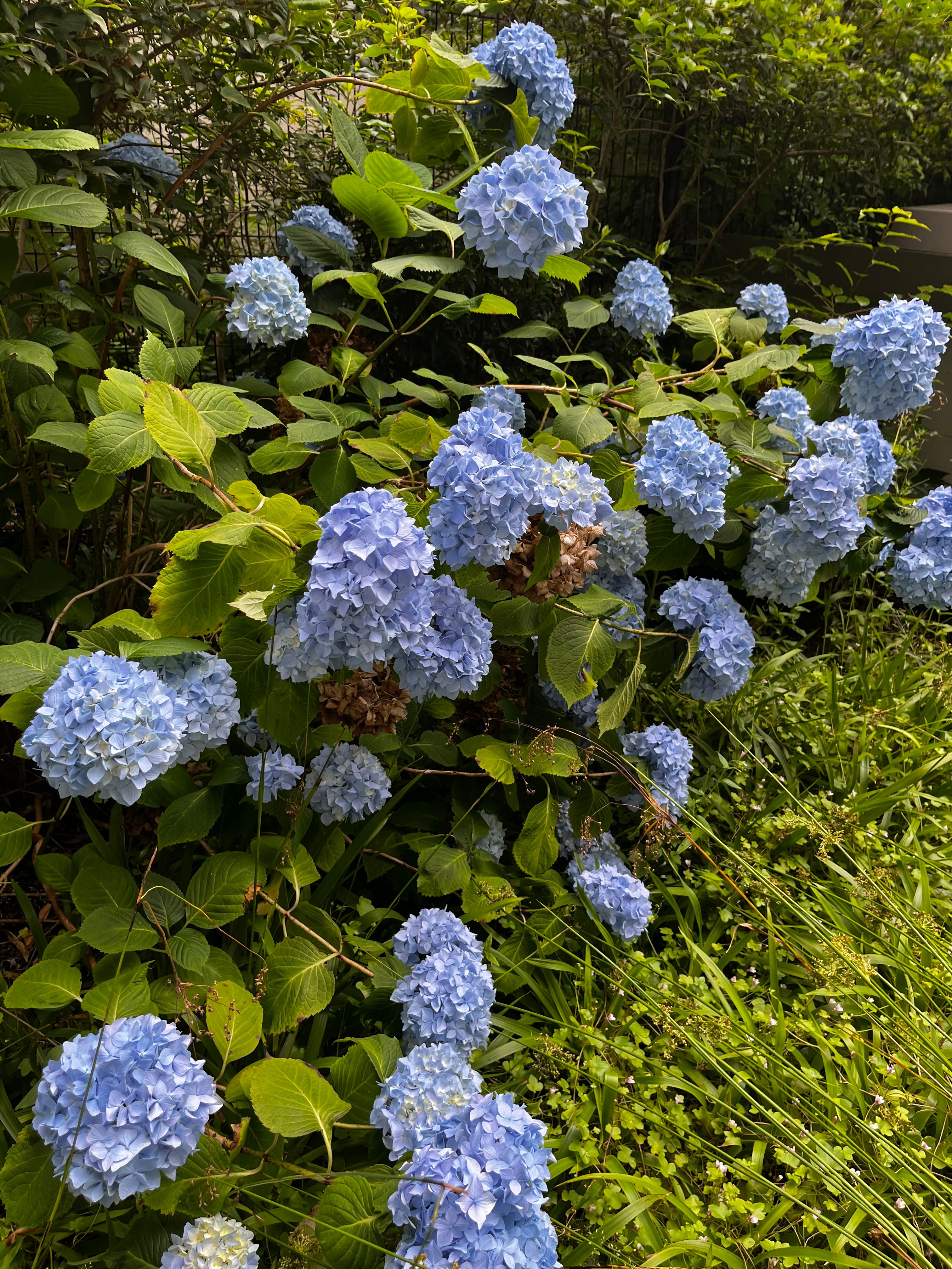 image-57