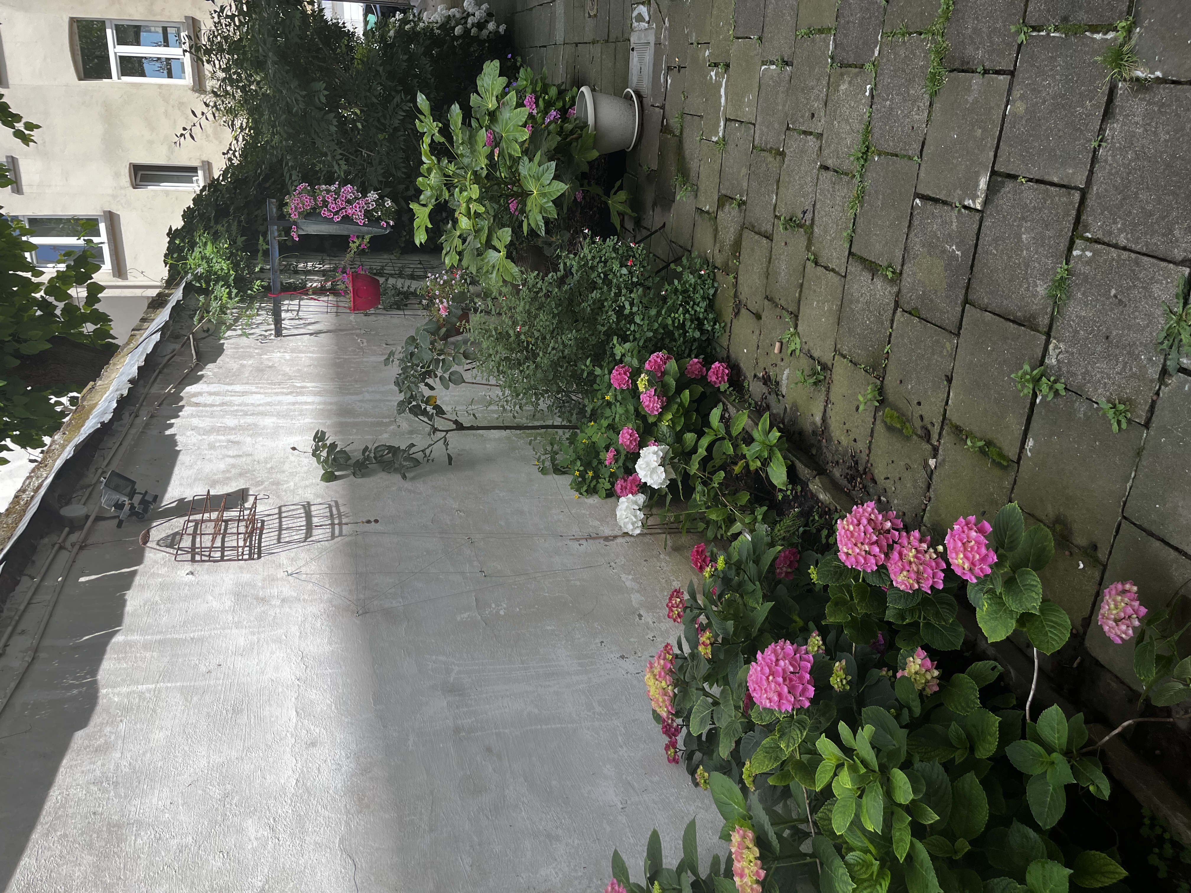 image-52