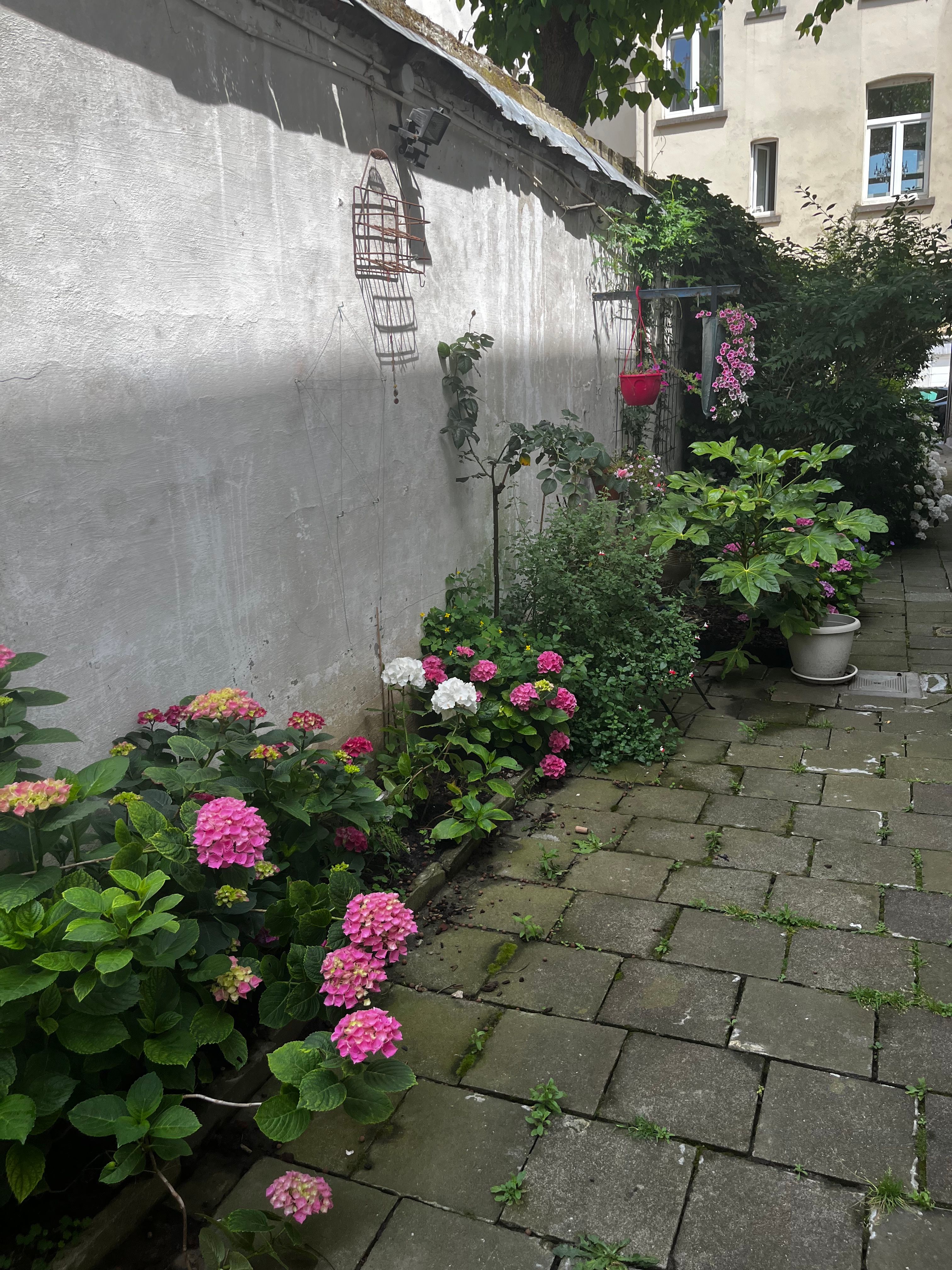 image-52