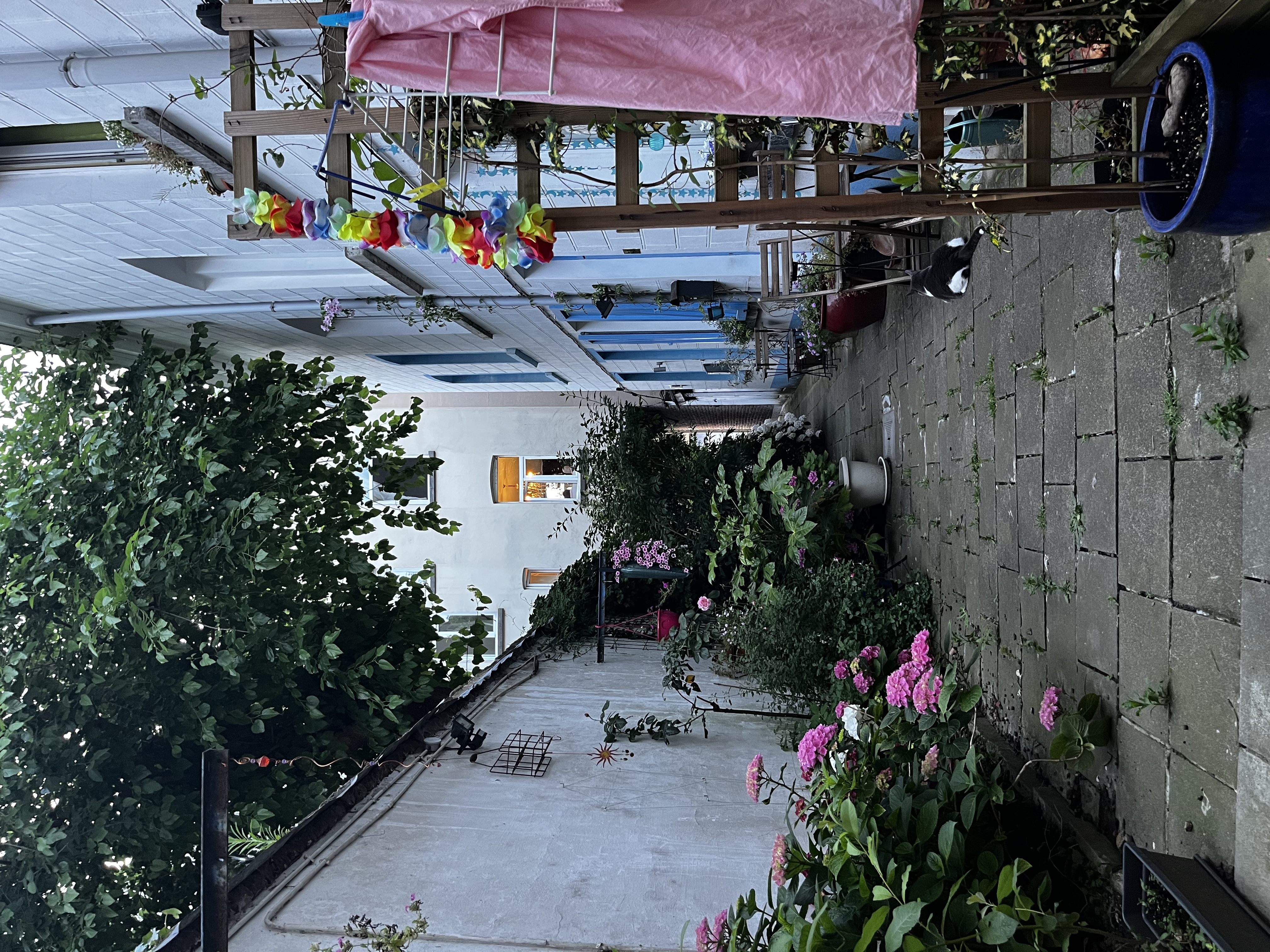 image-50