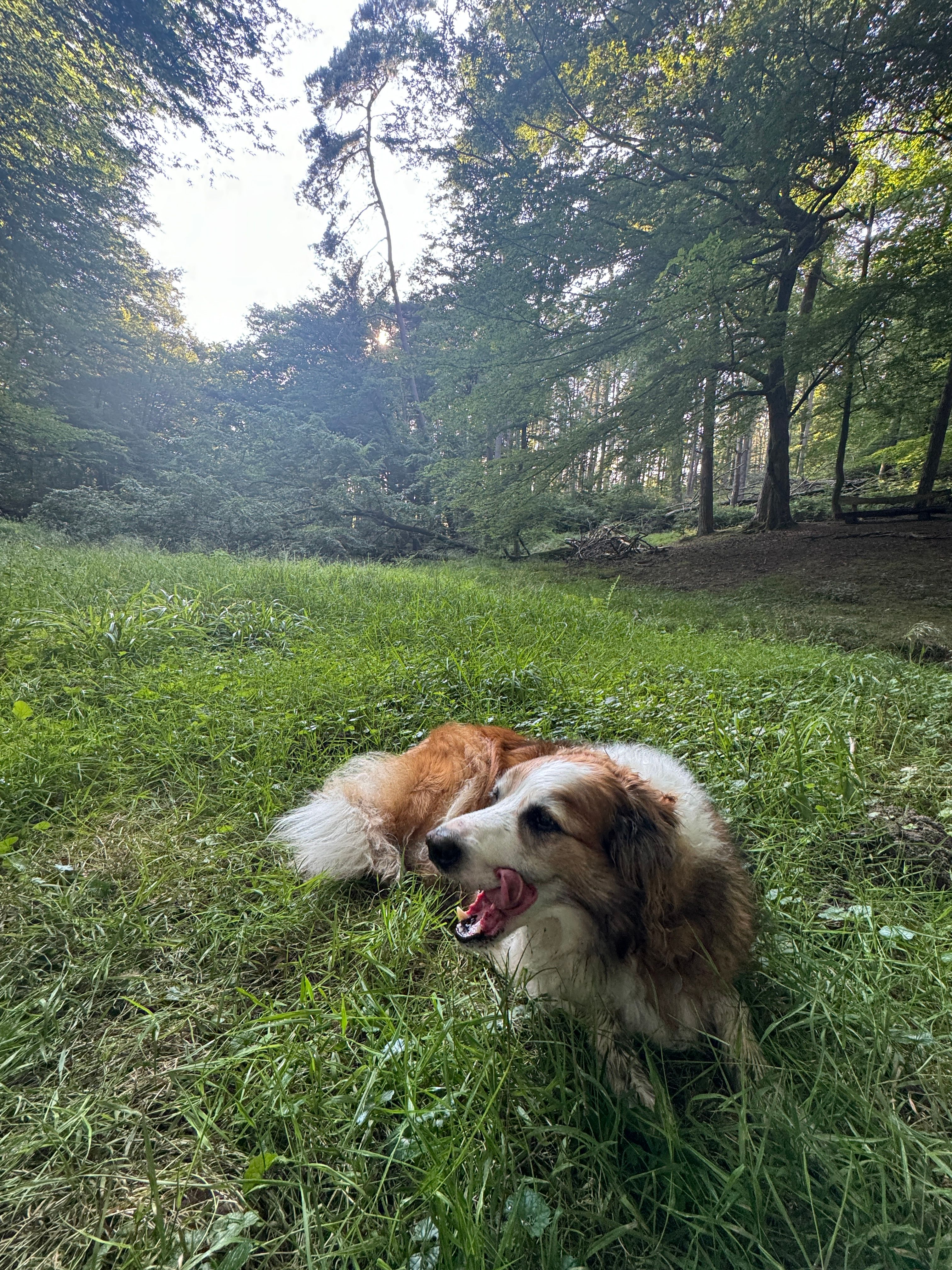 image-14