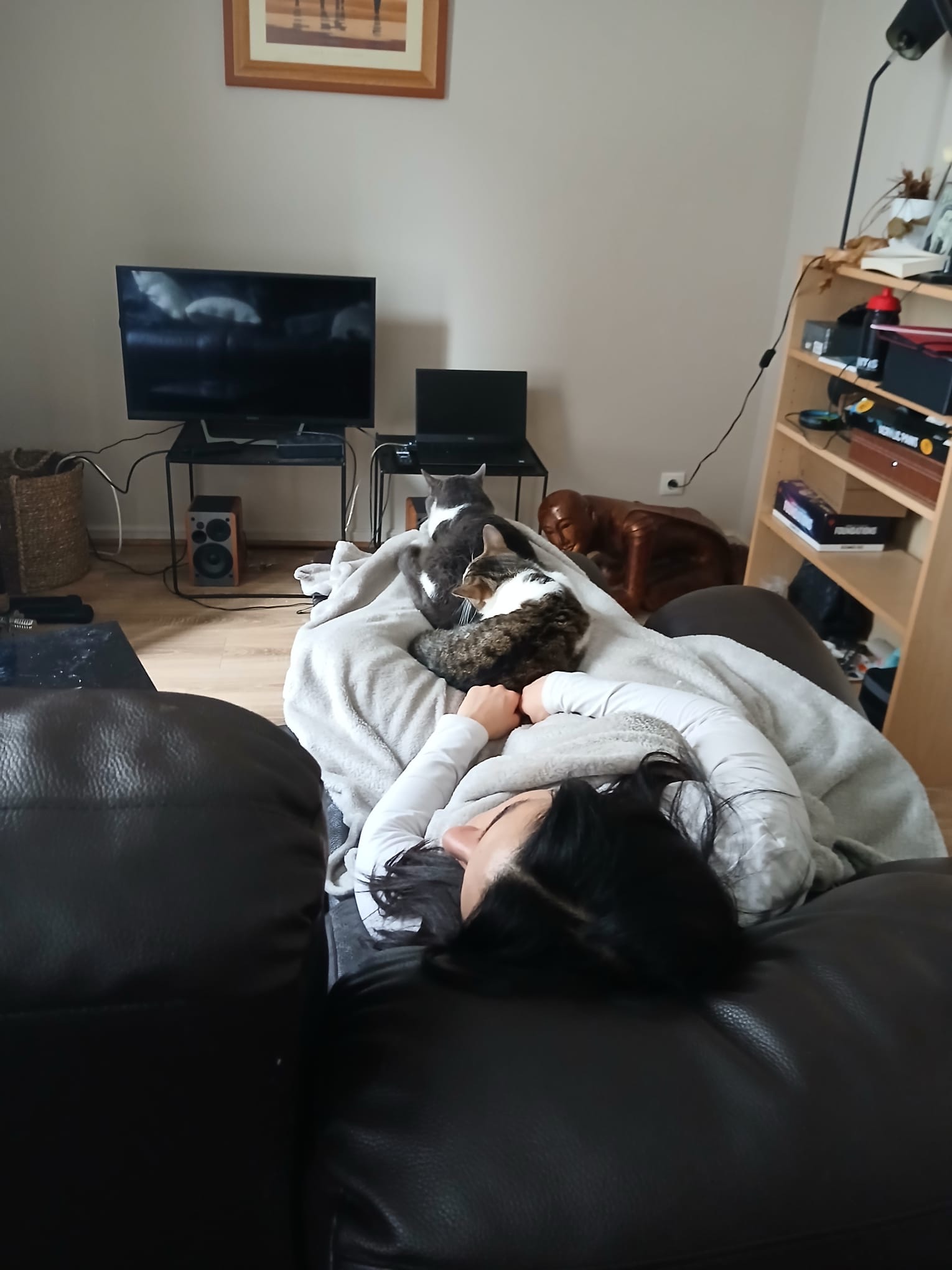 image-16