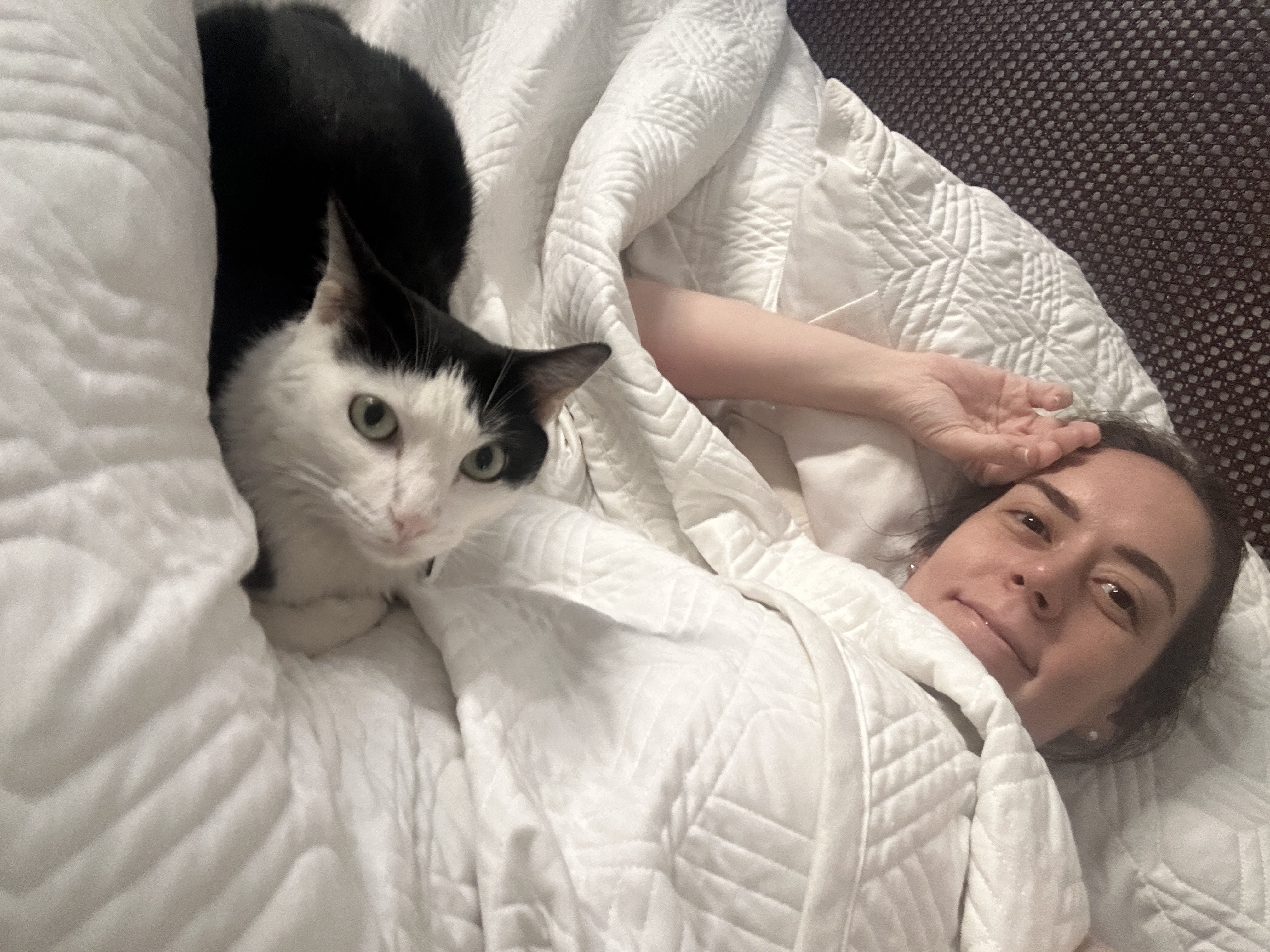 image-7