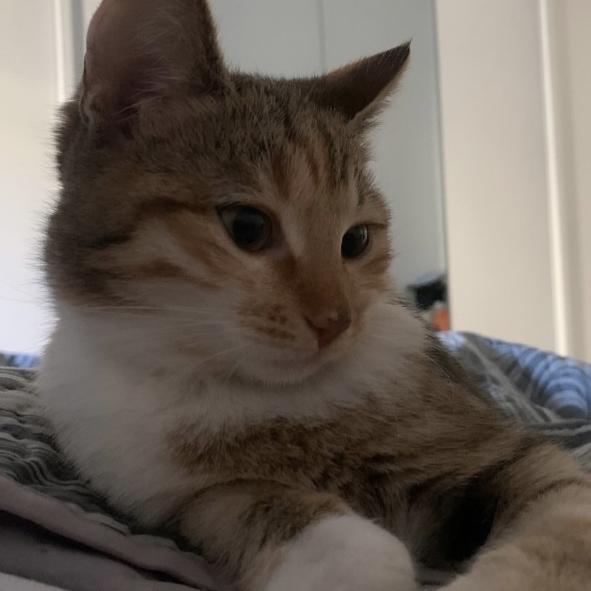 Glinda