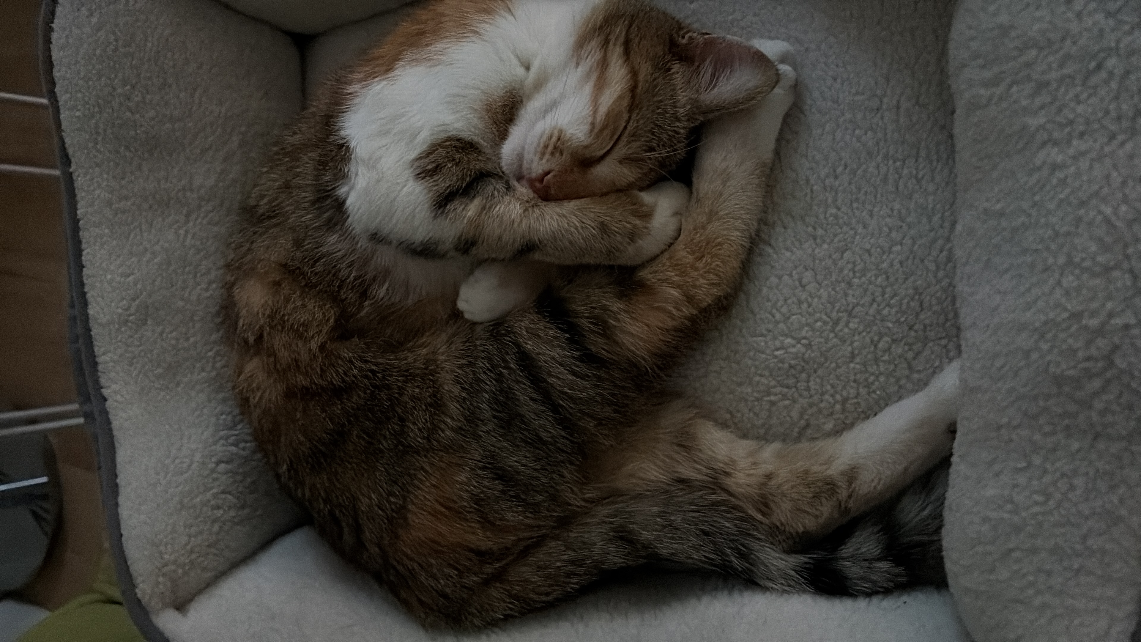 image-6