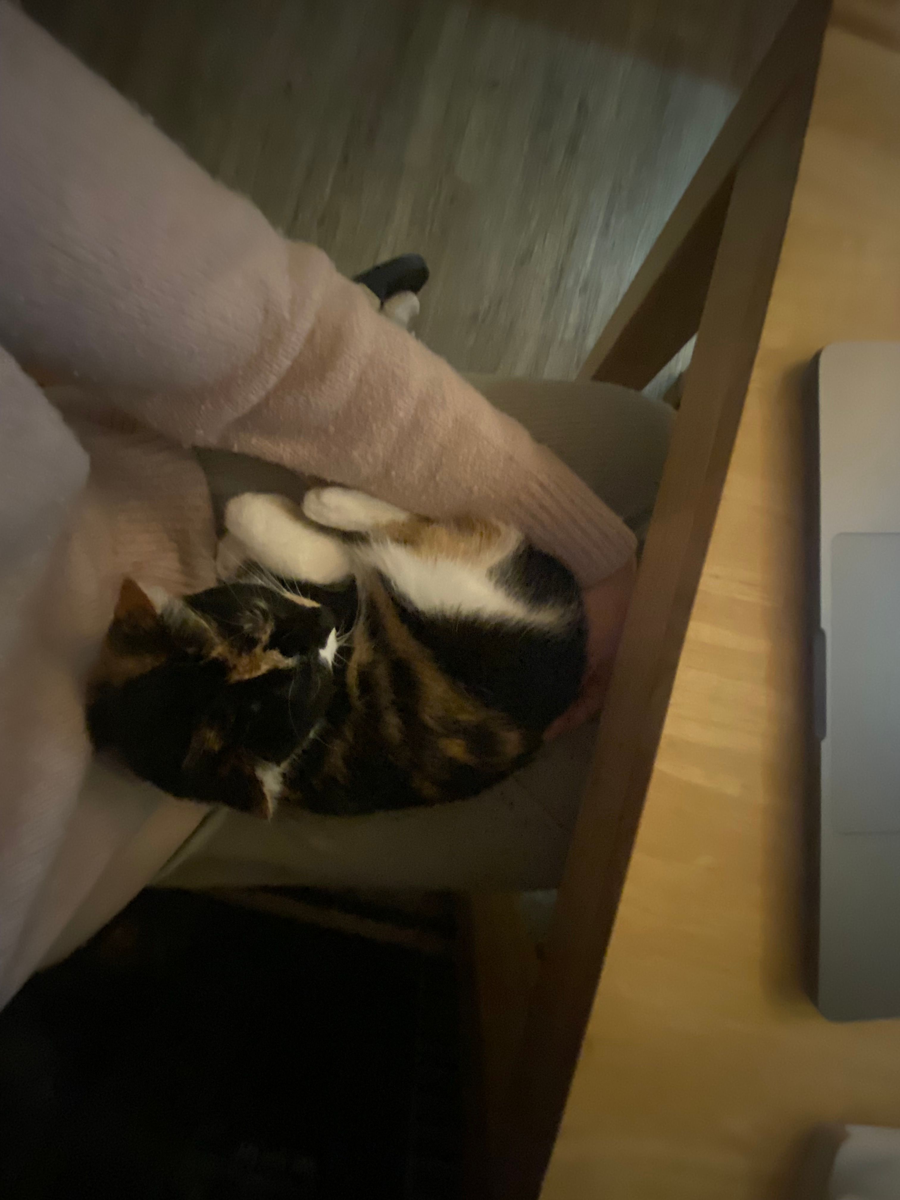 image-8