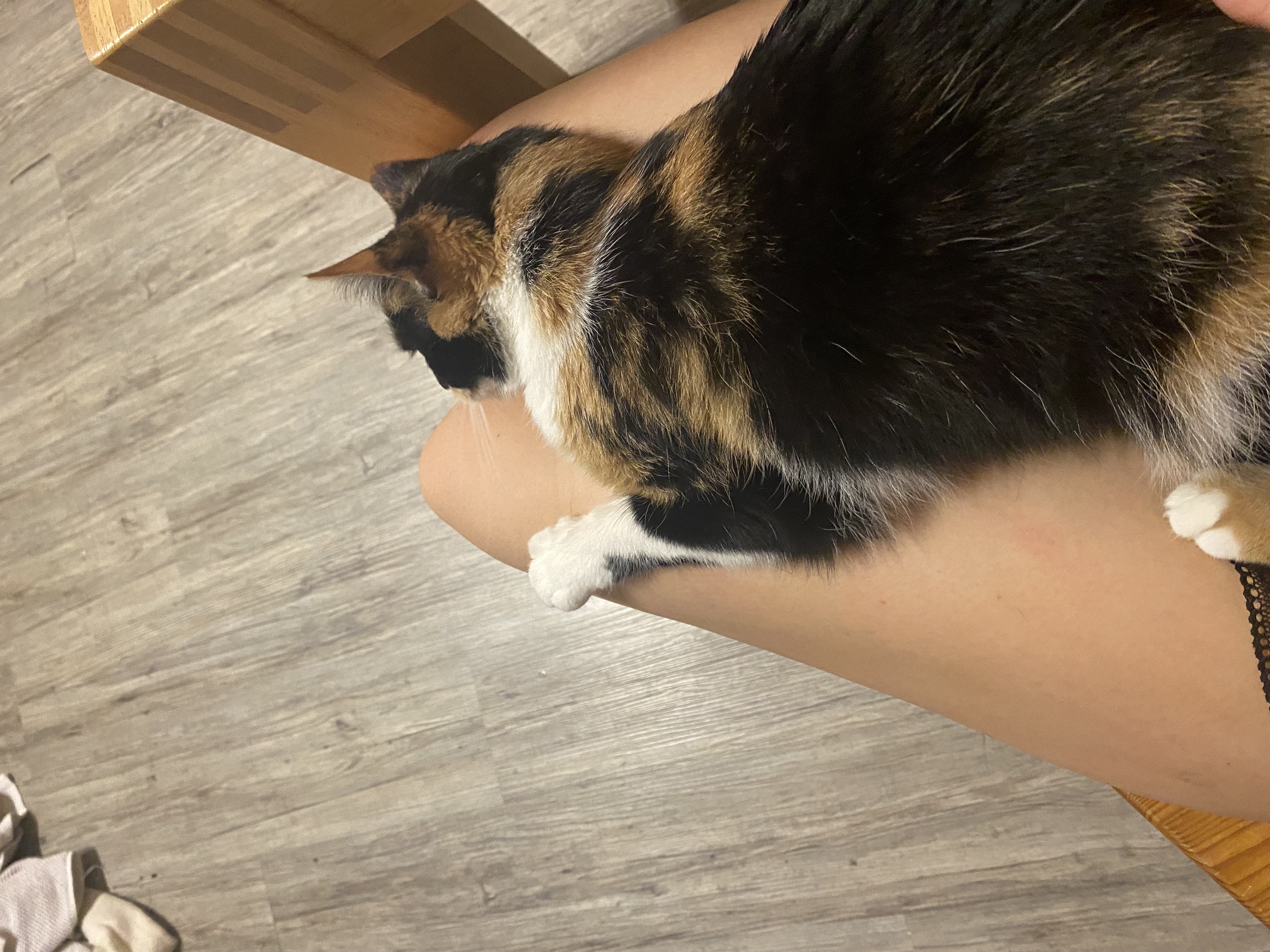 image-6