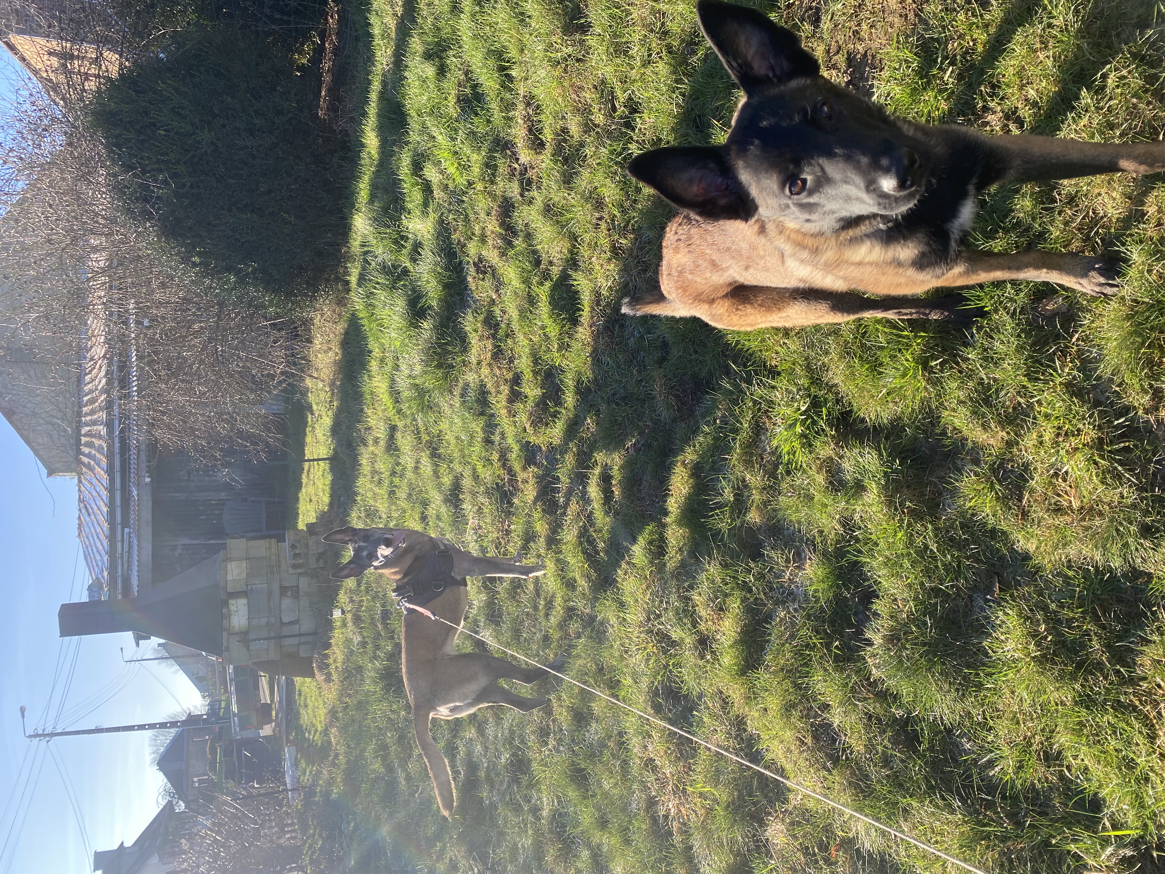 image-20