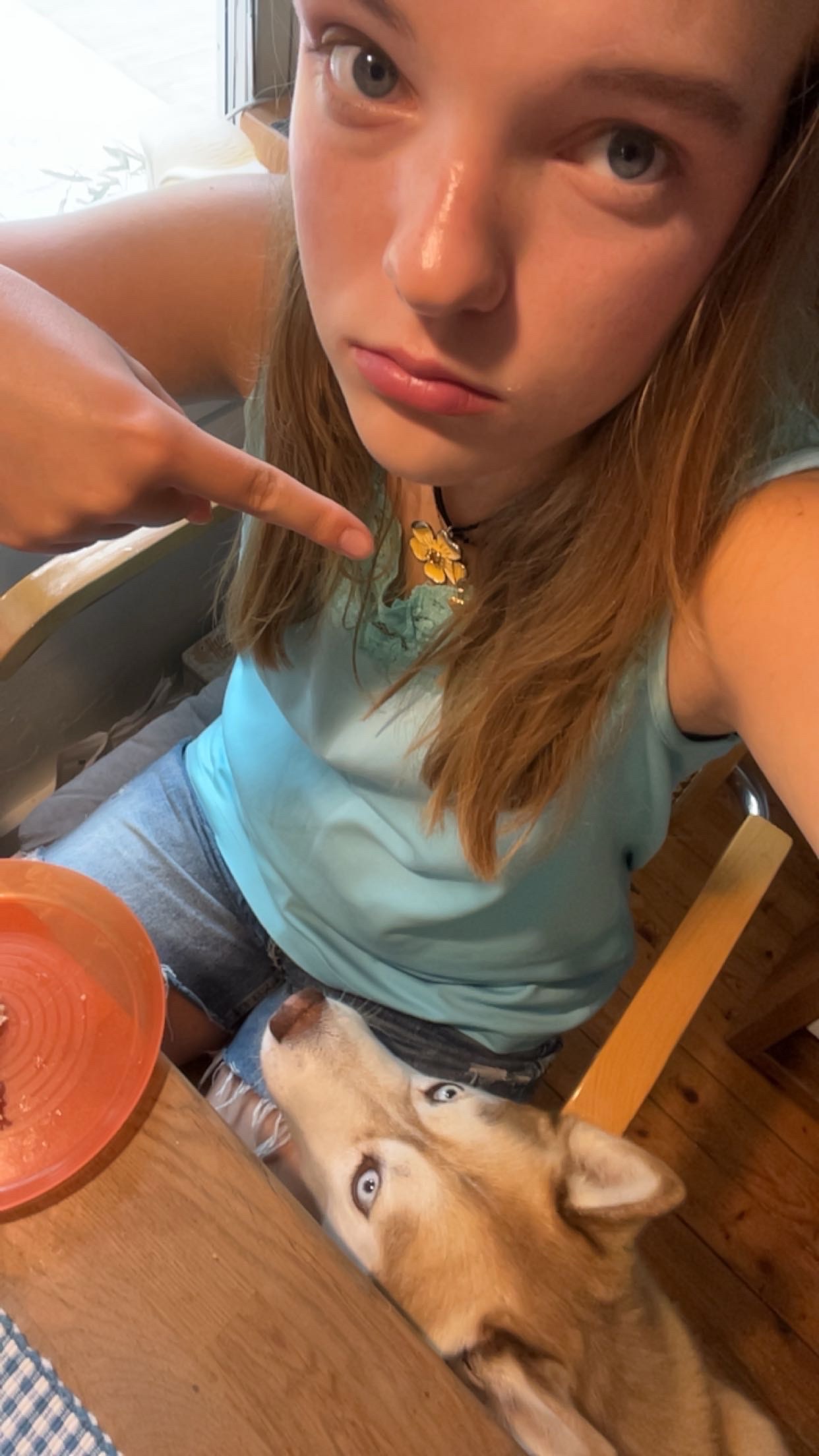 image-5