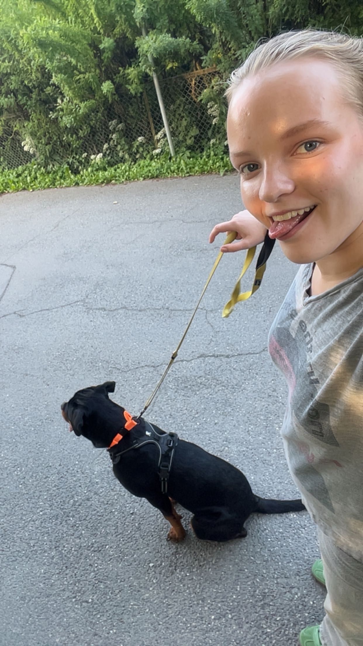 image-6
