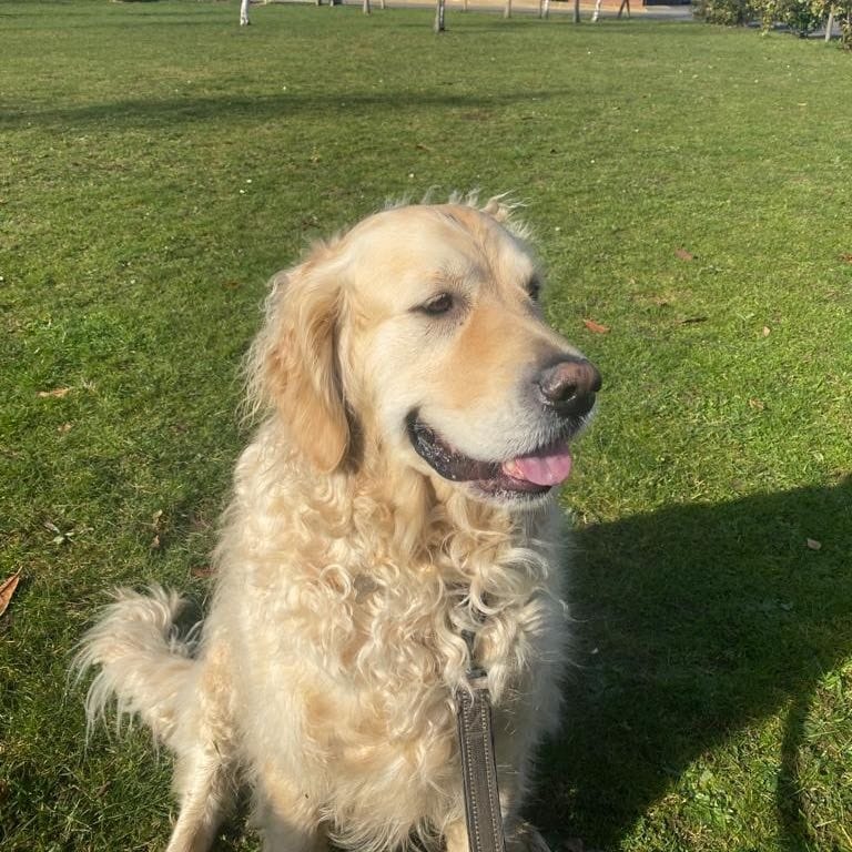 Cooper