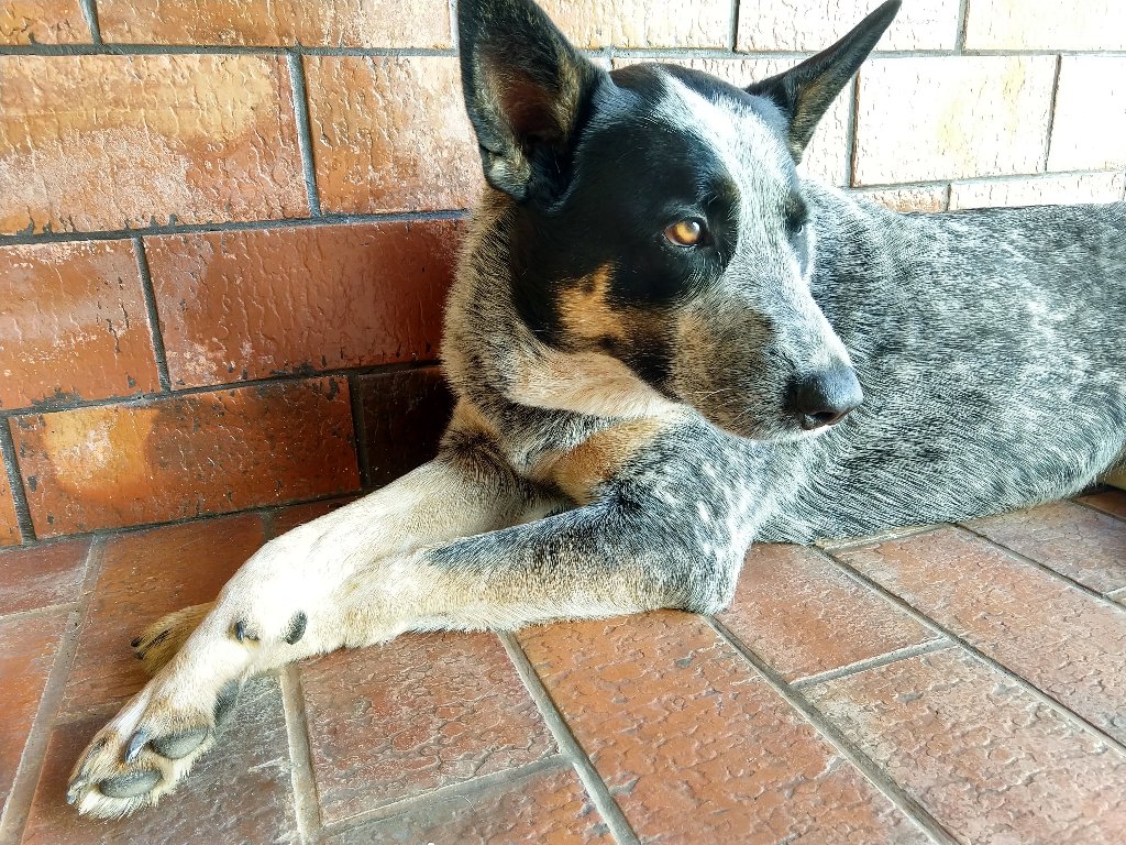 Luna