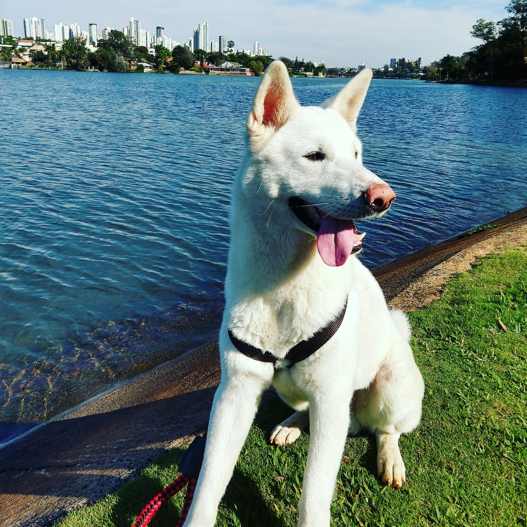 Lui