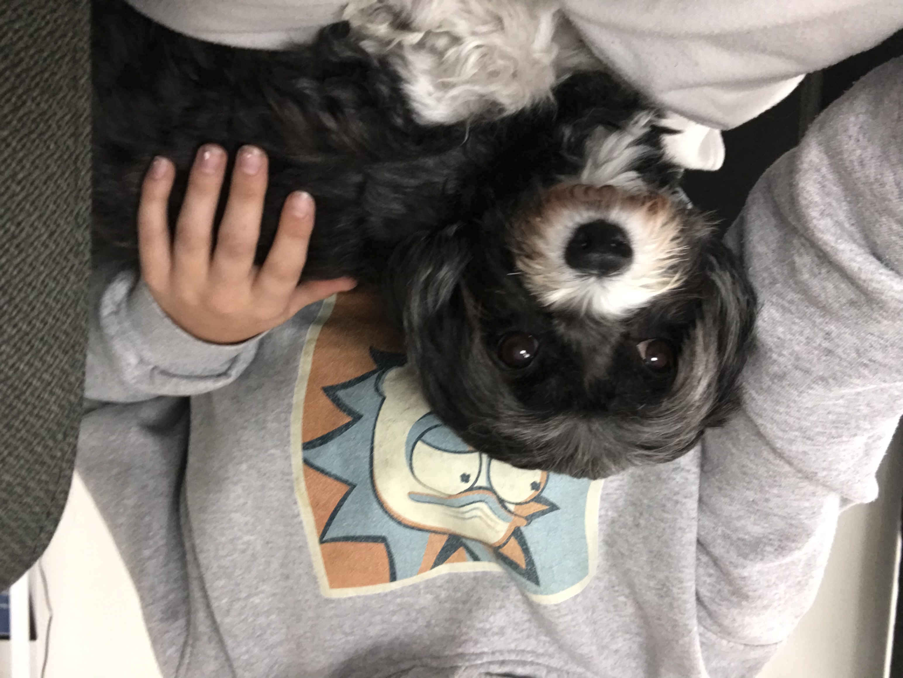 image-9