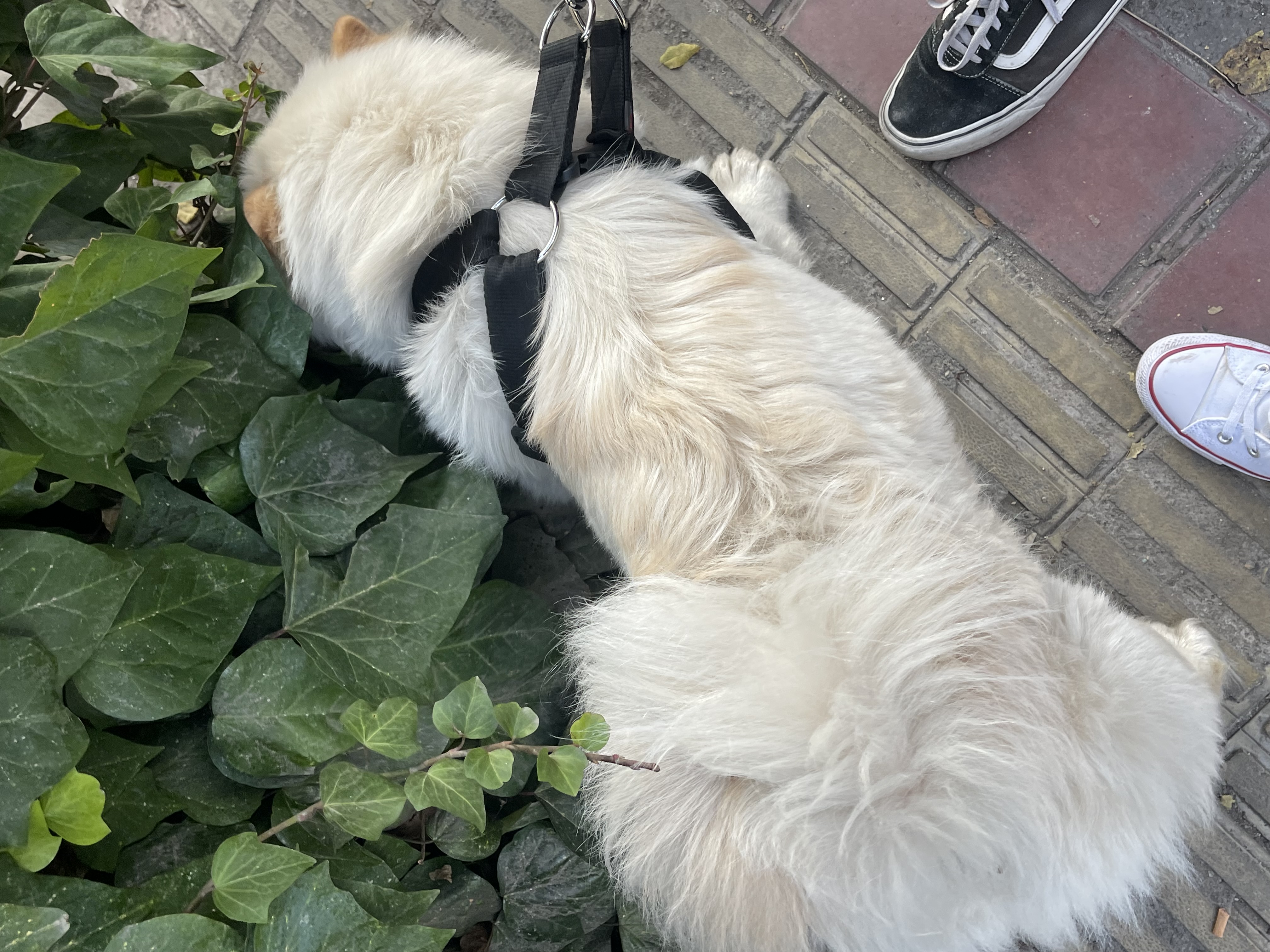 image-8