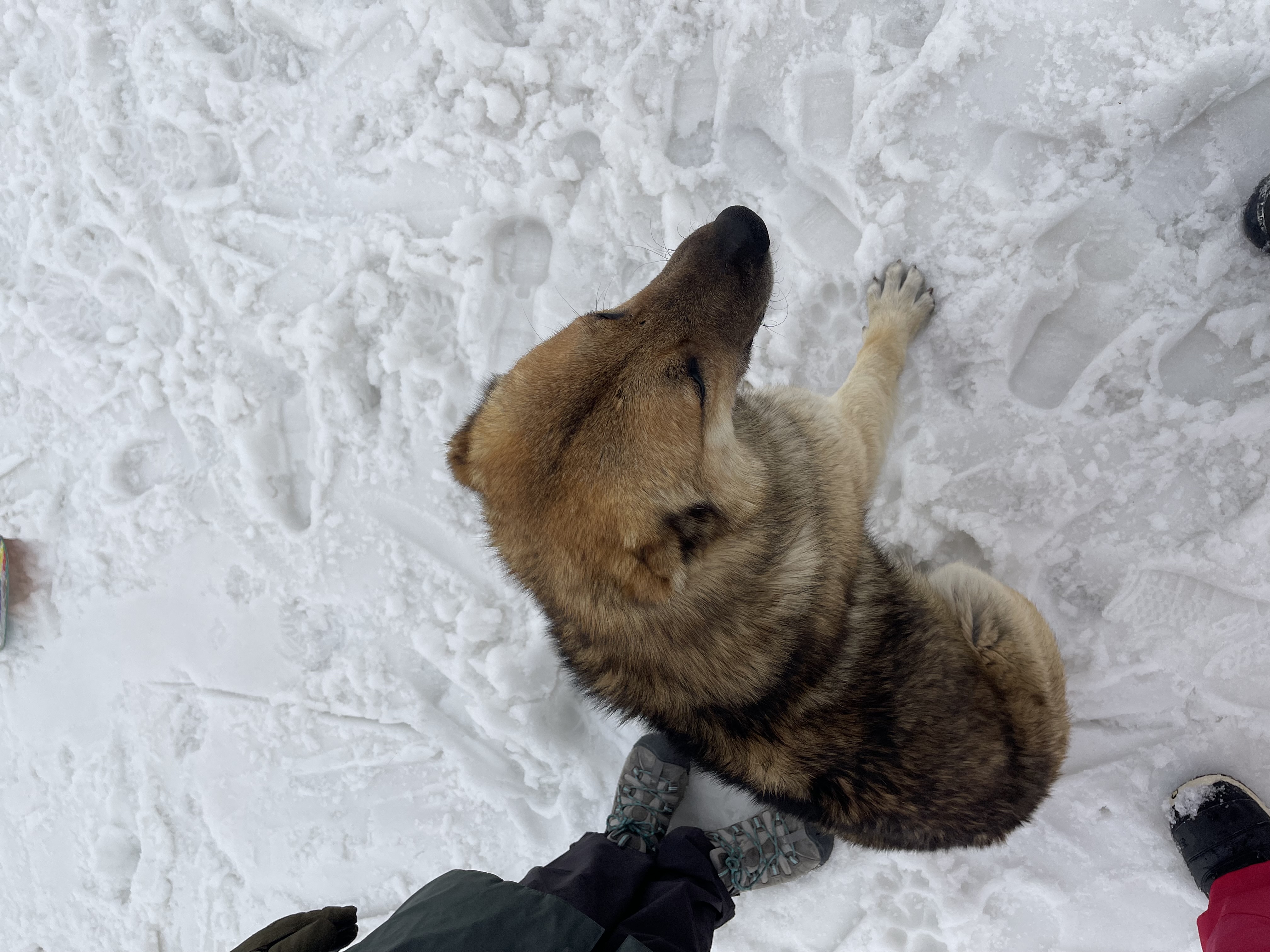 image-7