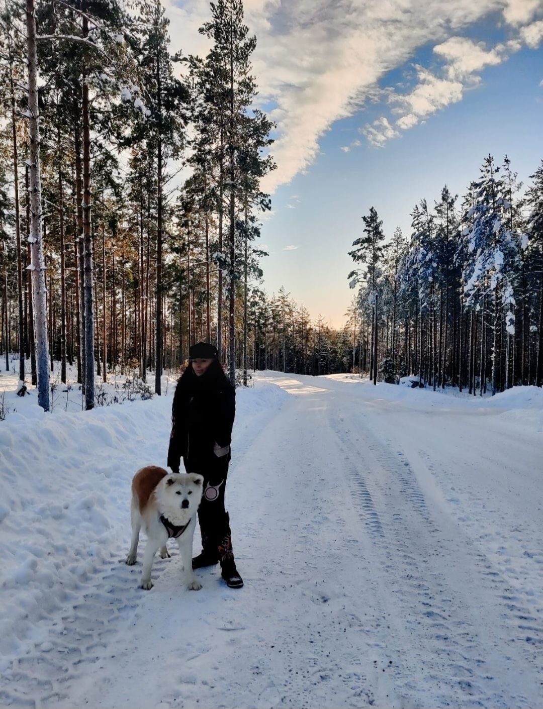 image-5