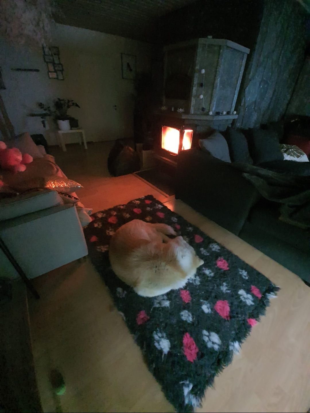 image-9