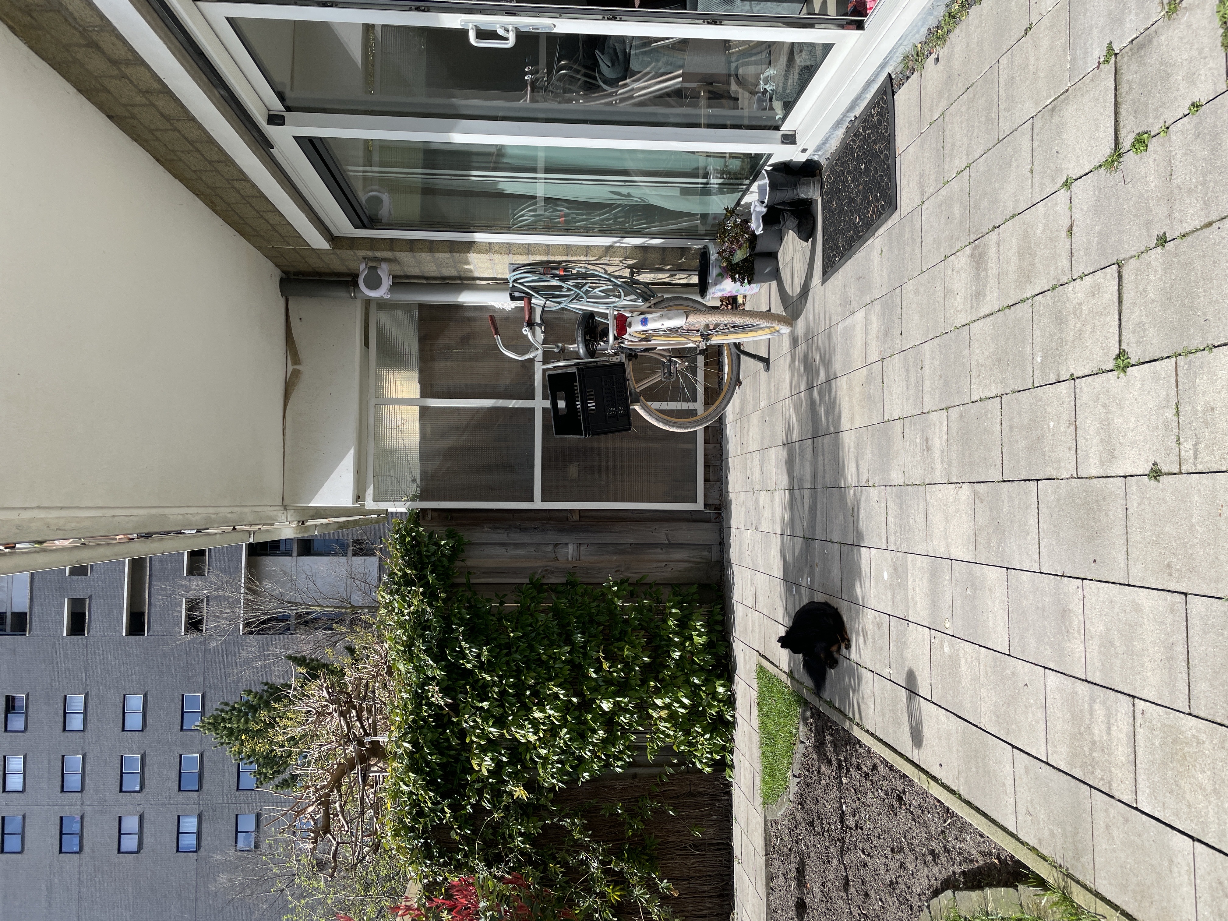 image-8
