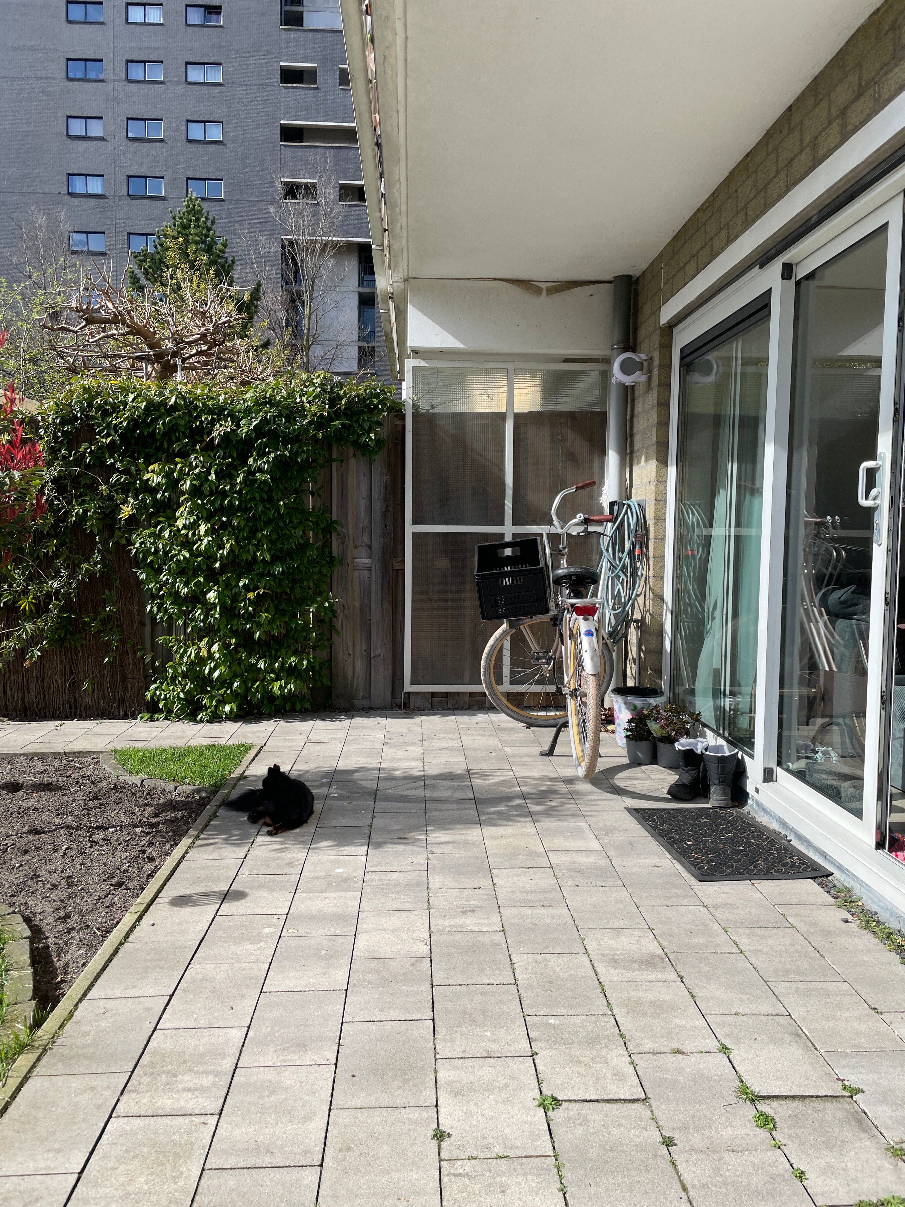 image-8