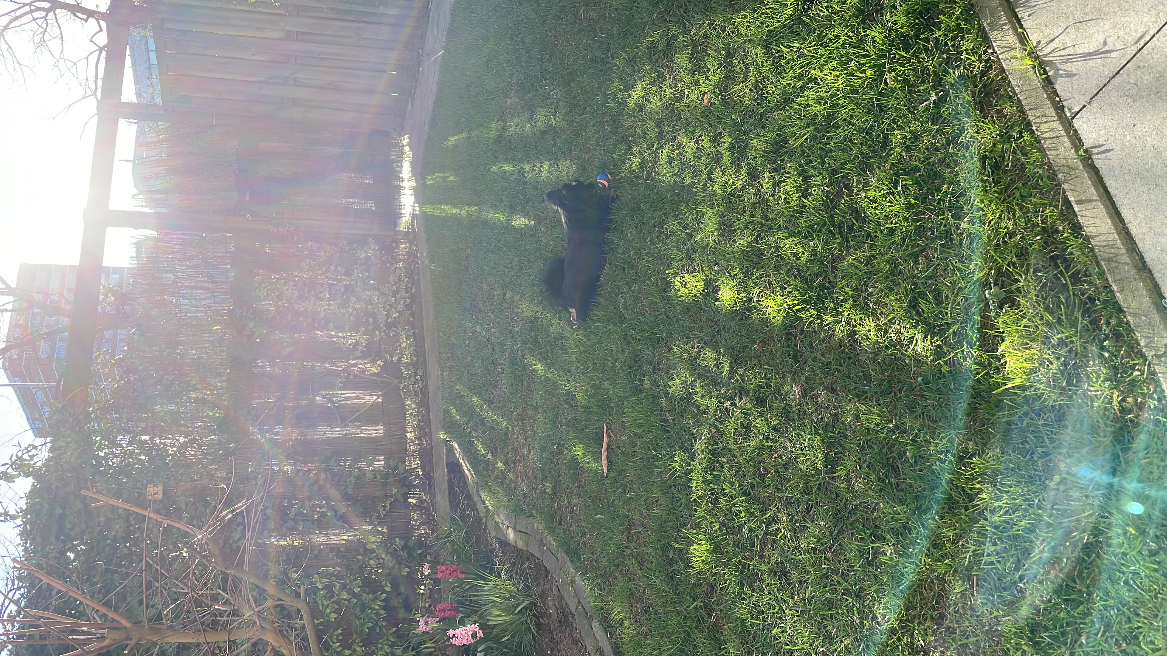 image-7