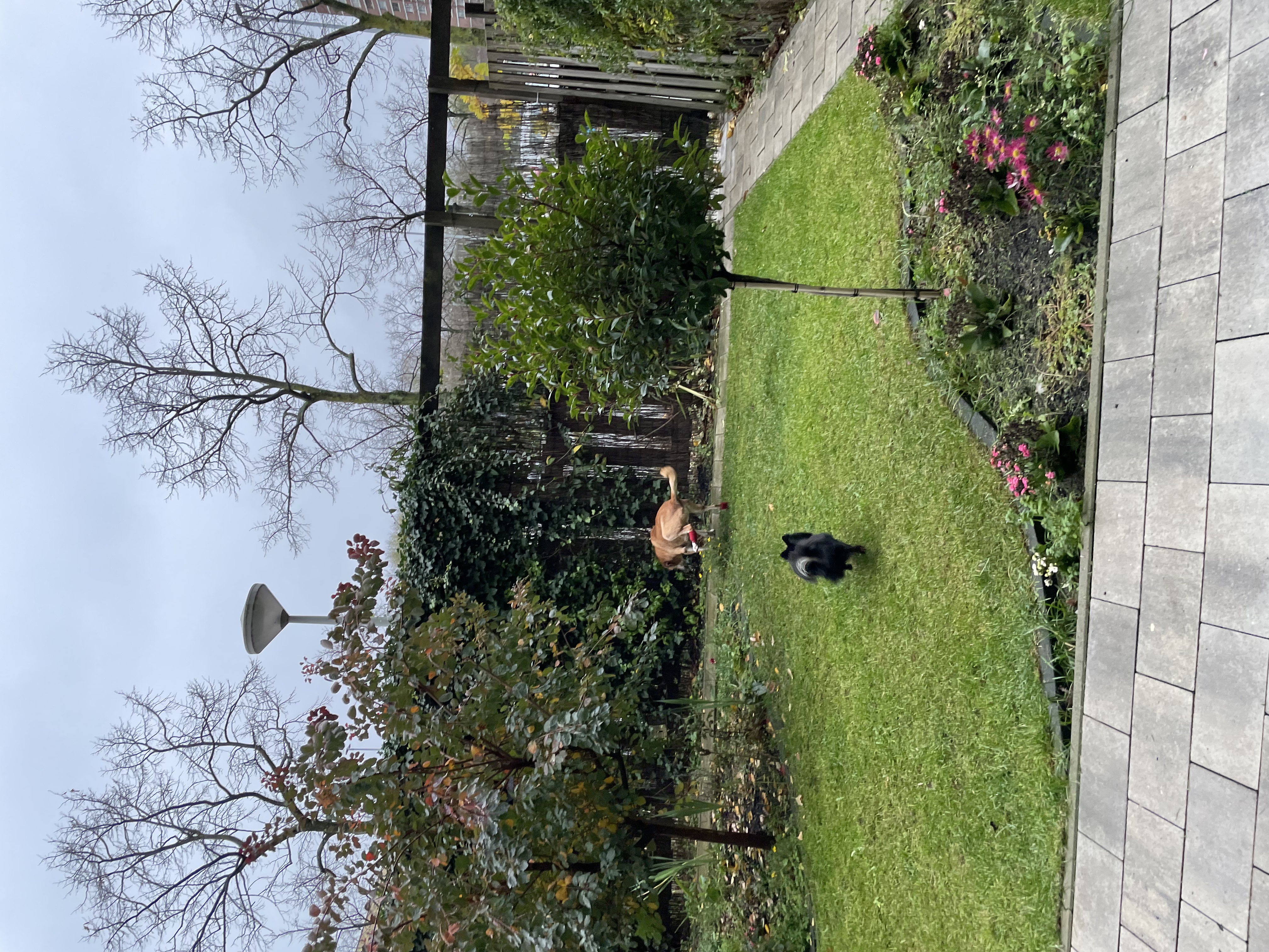 image-6
