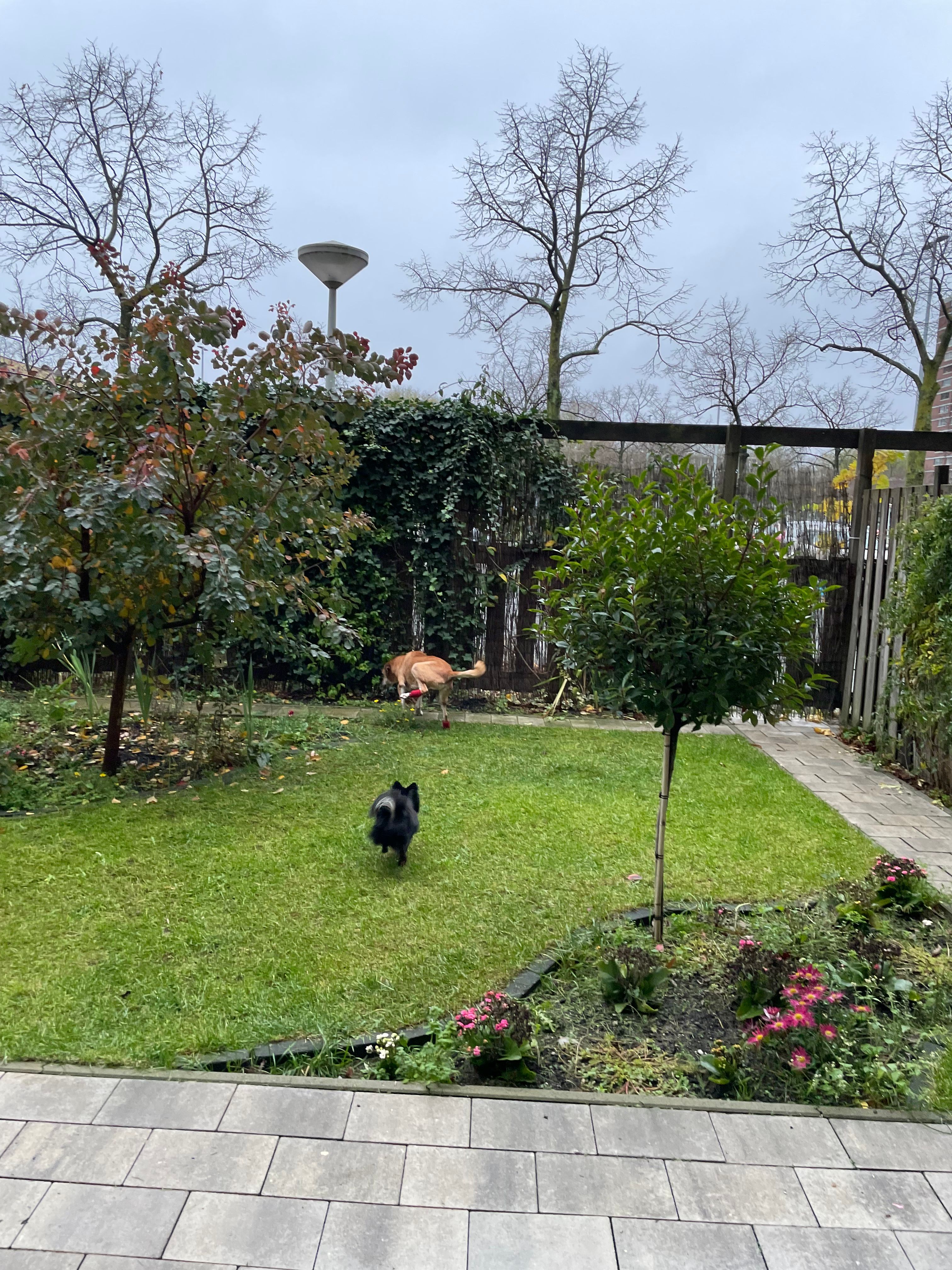 image-6