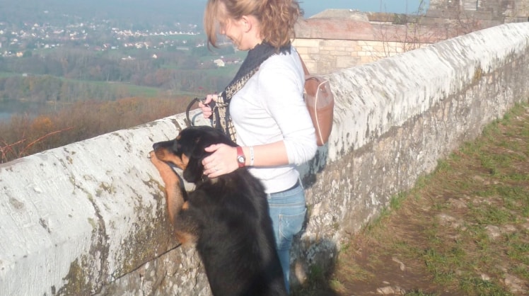 image-5