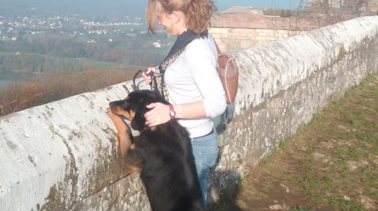 image-5