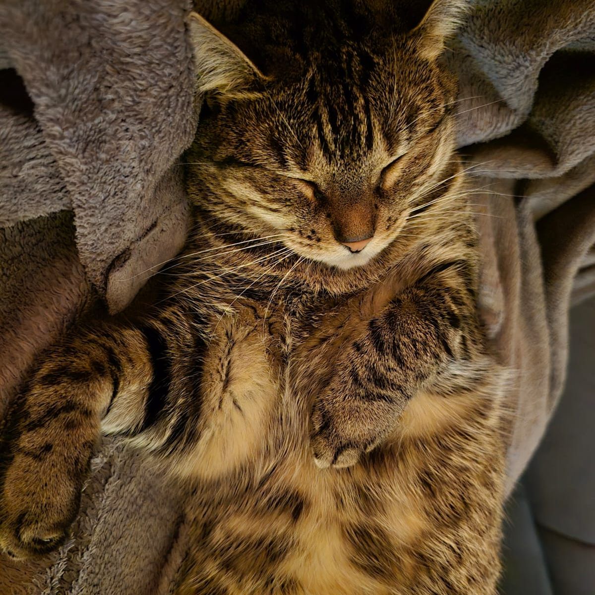 Filou