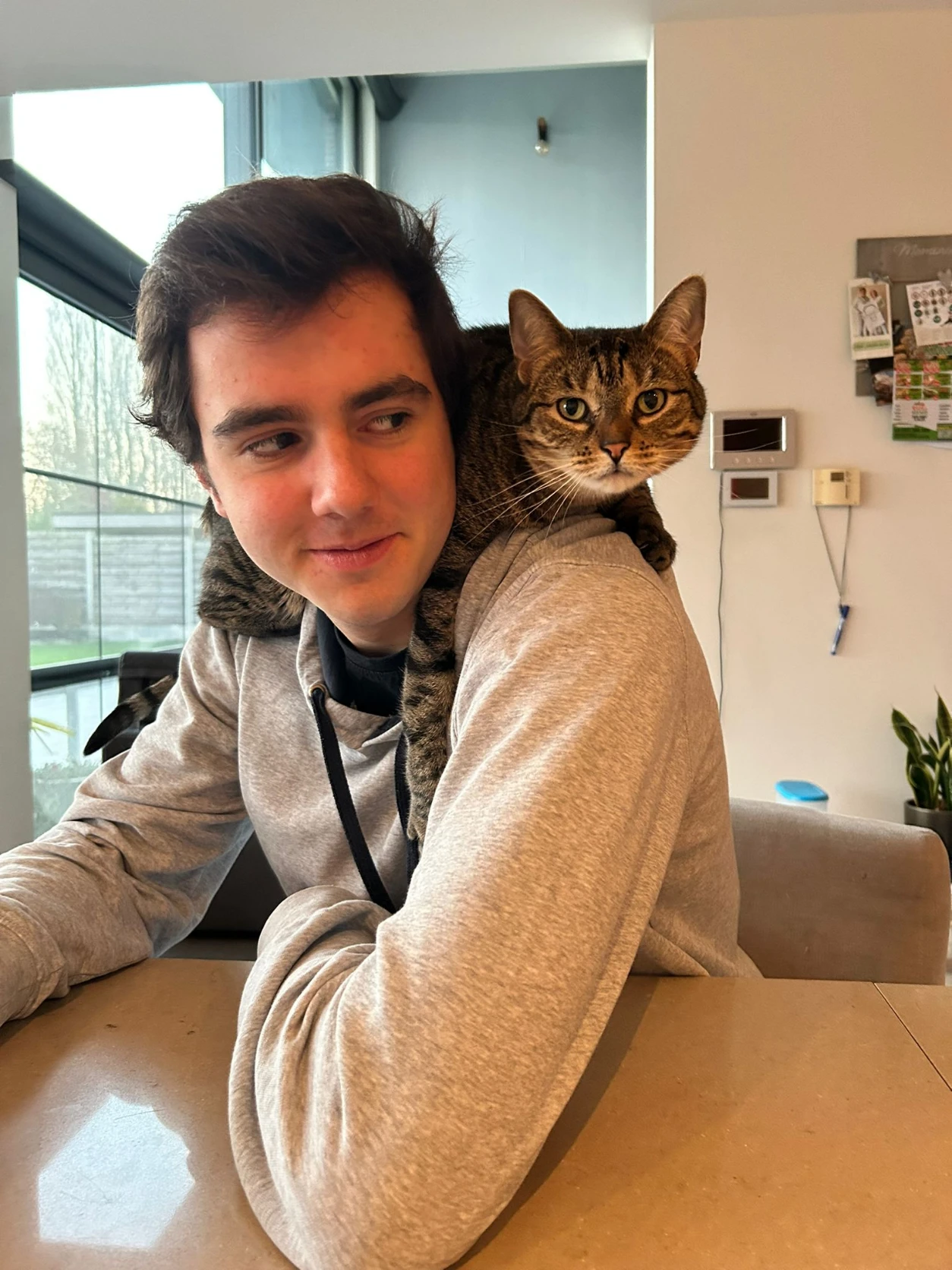 image-0