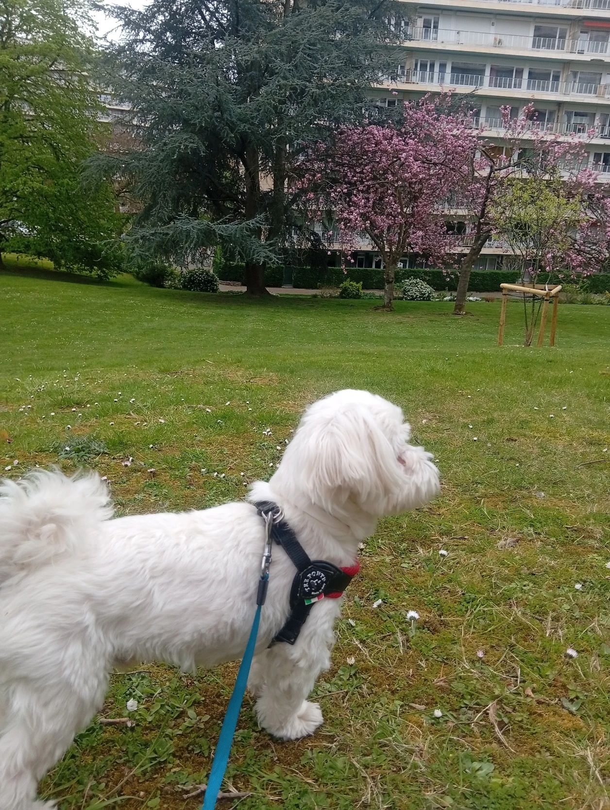 image-48