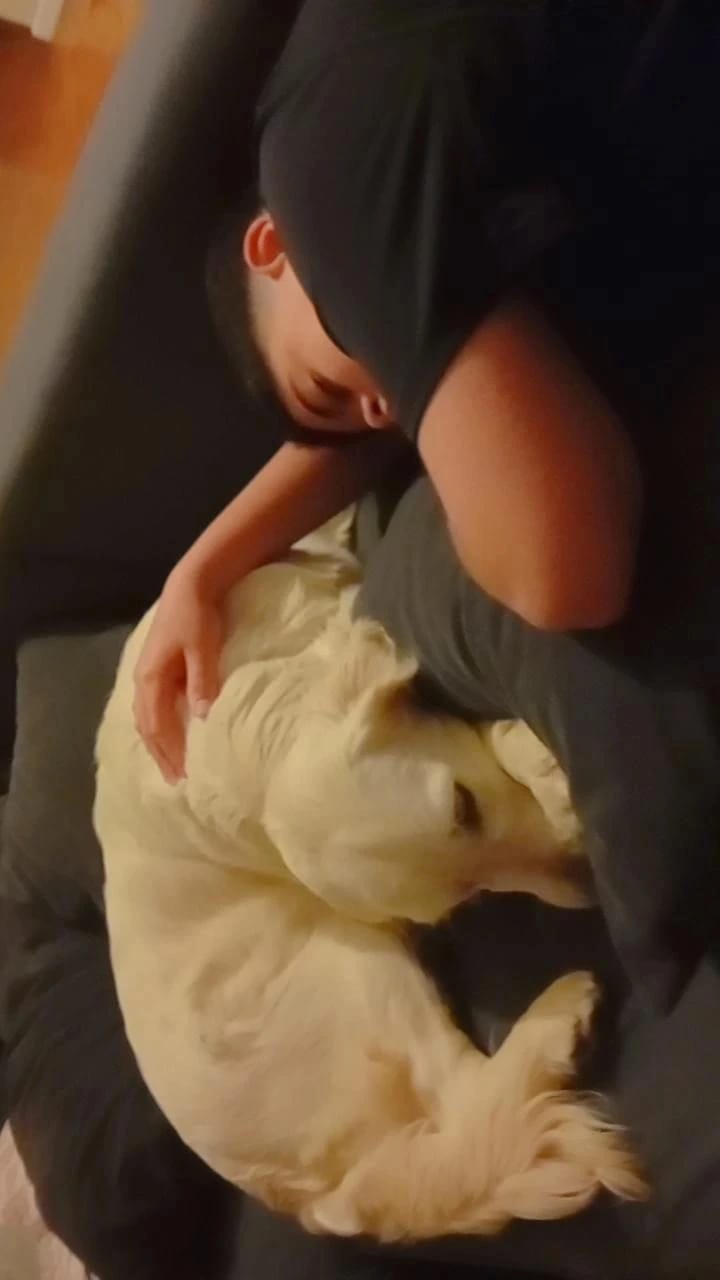 image-26