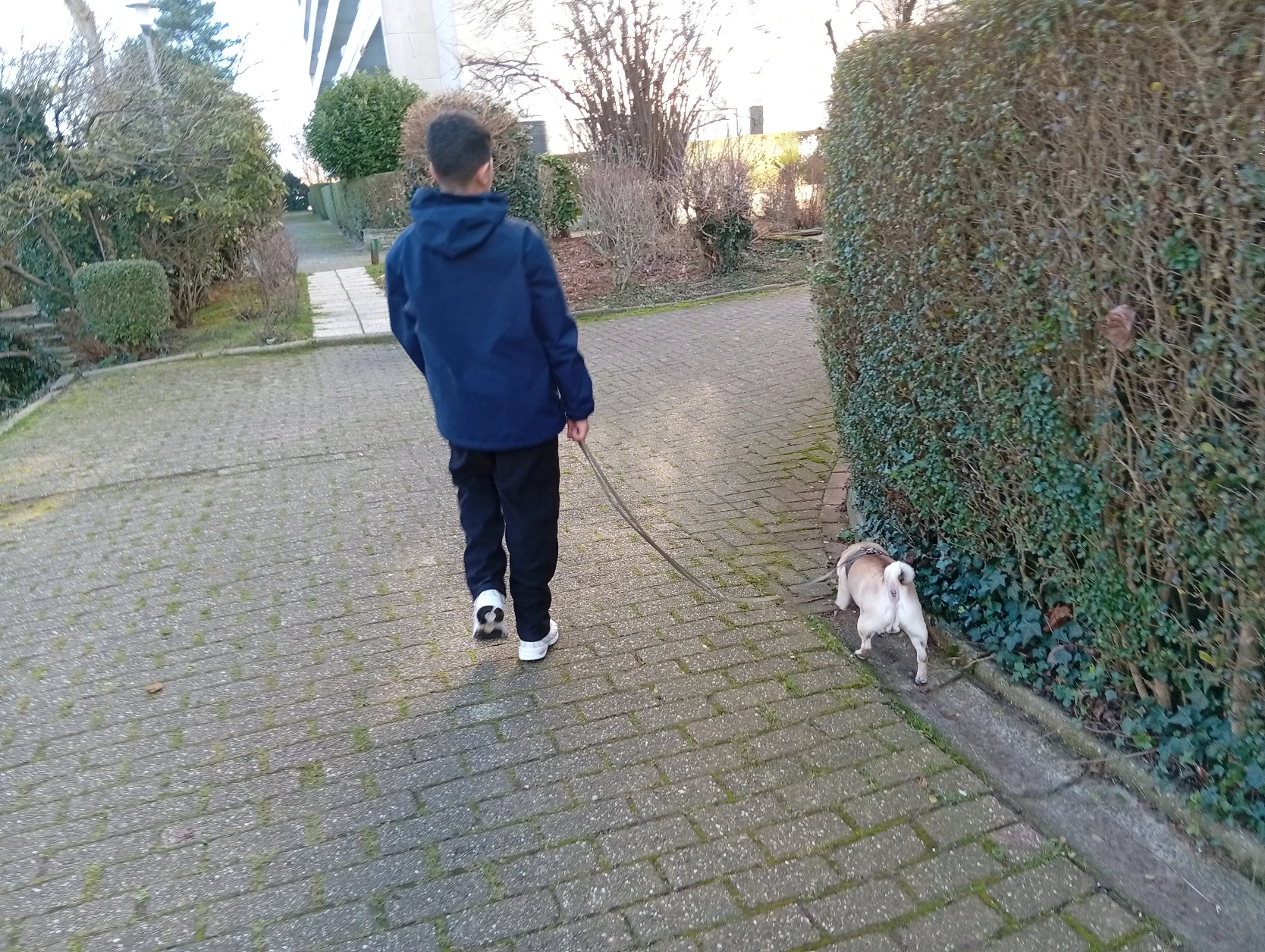 image-11