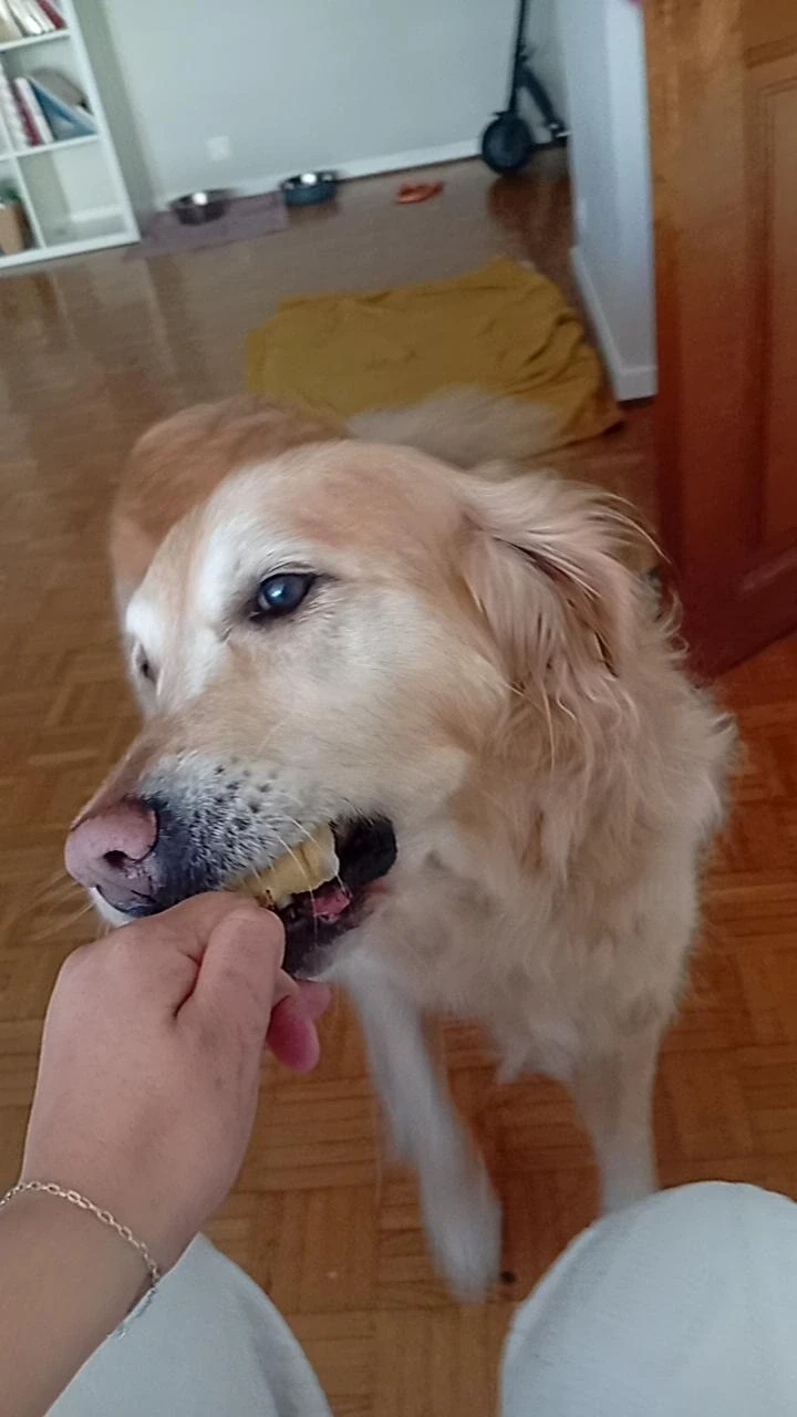 image-29