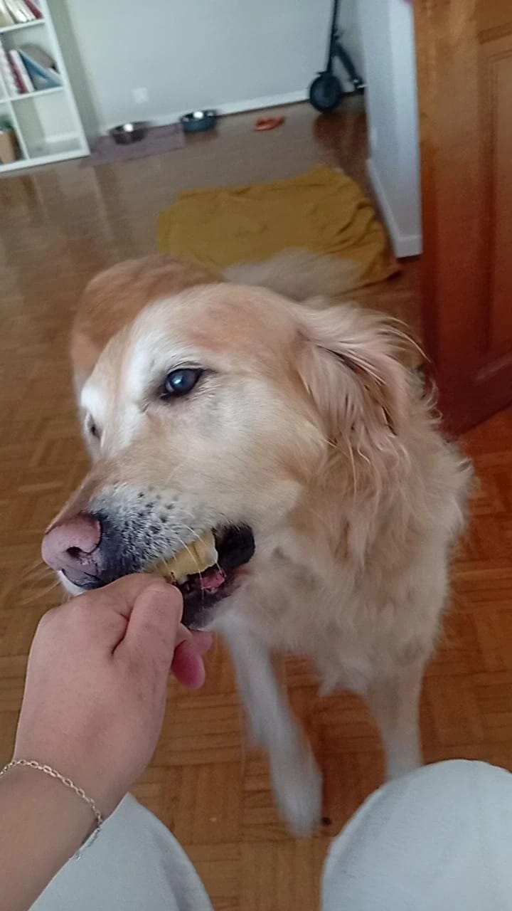 image-29