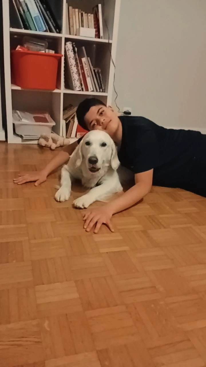 image-25