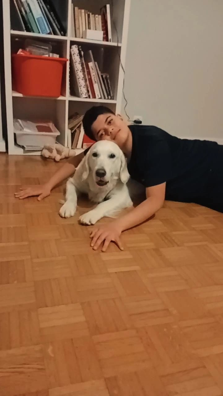 image-25
