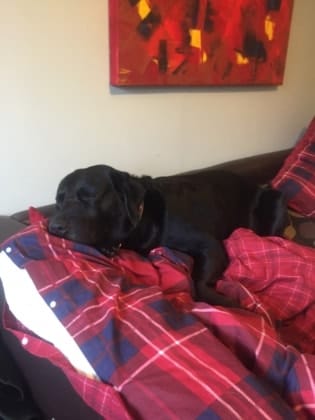 image-5