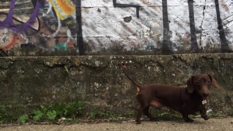 image-4