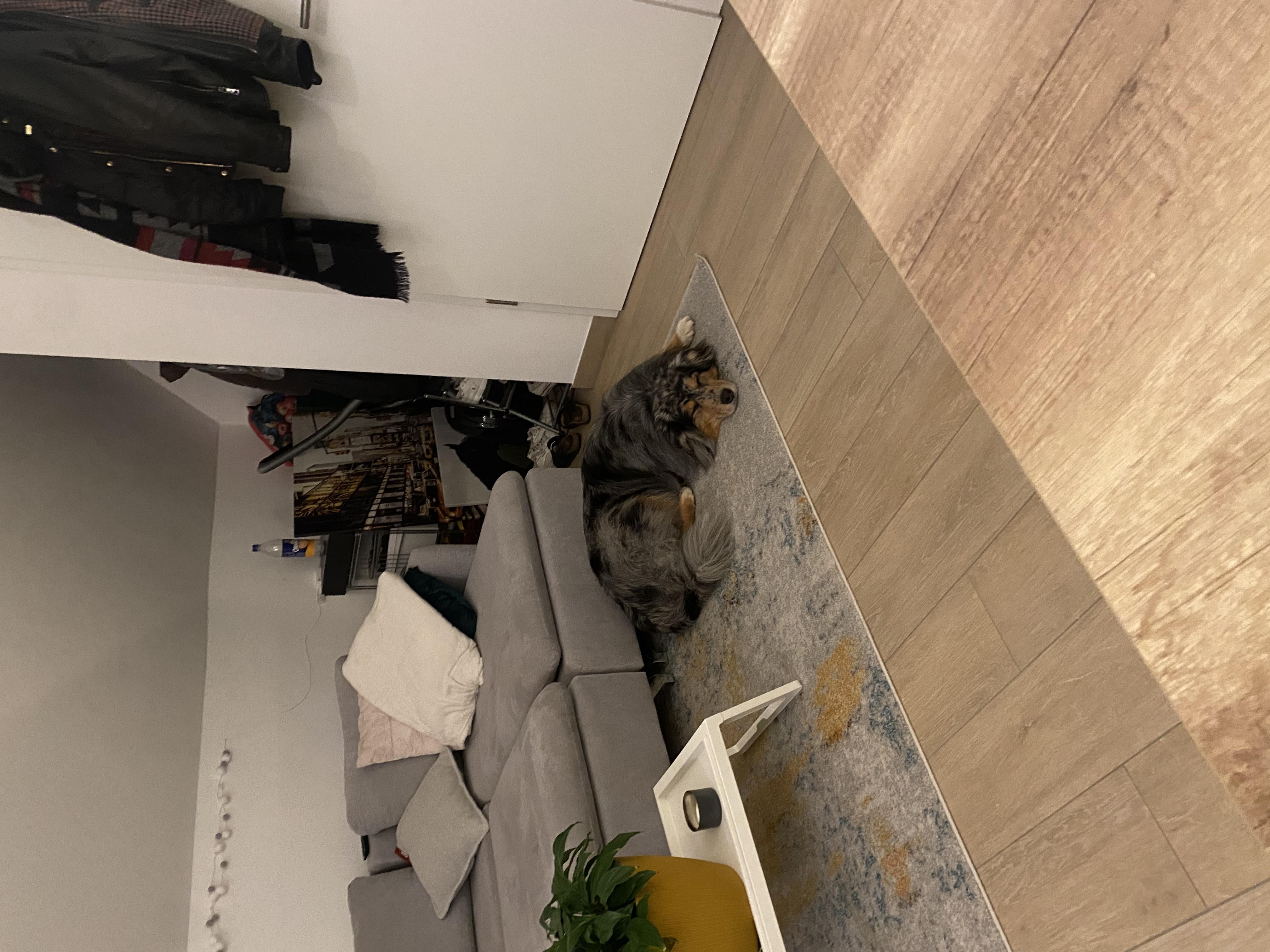 image-8